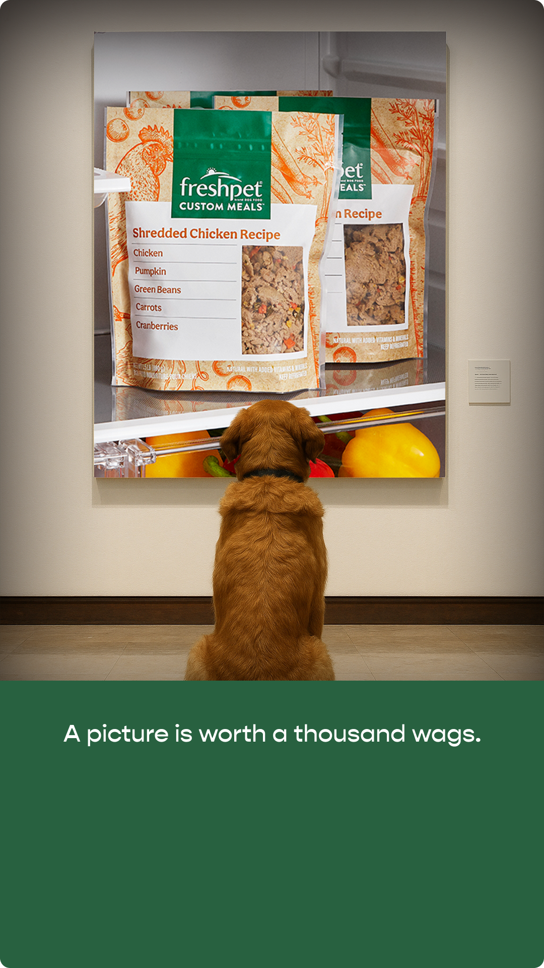 Freshpet Facebook ad