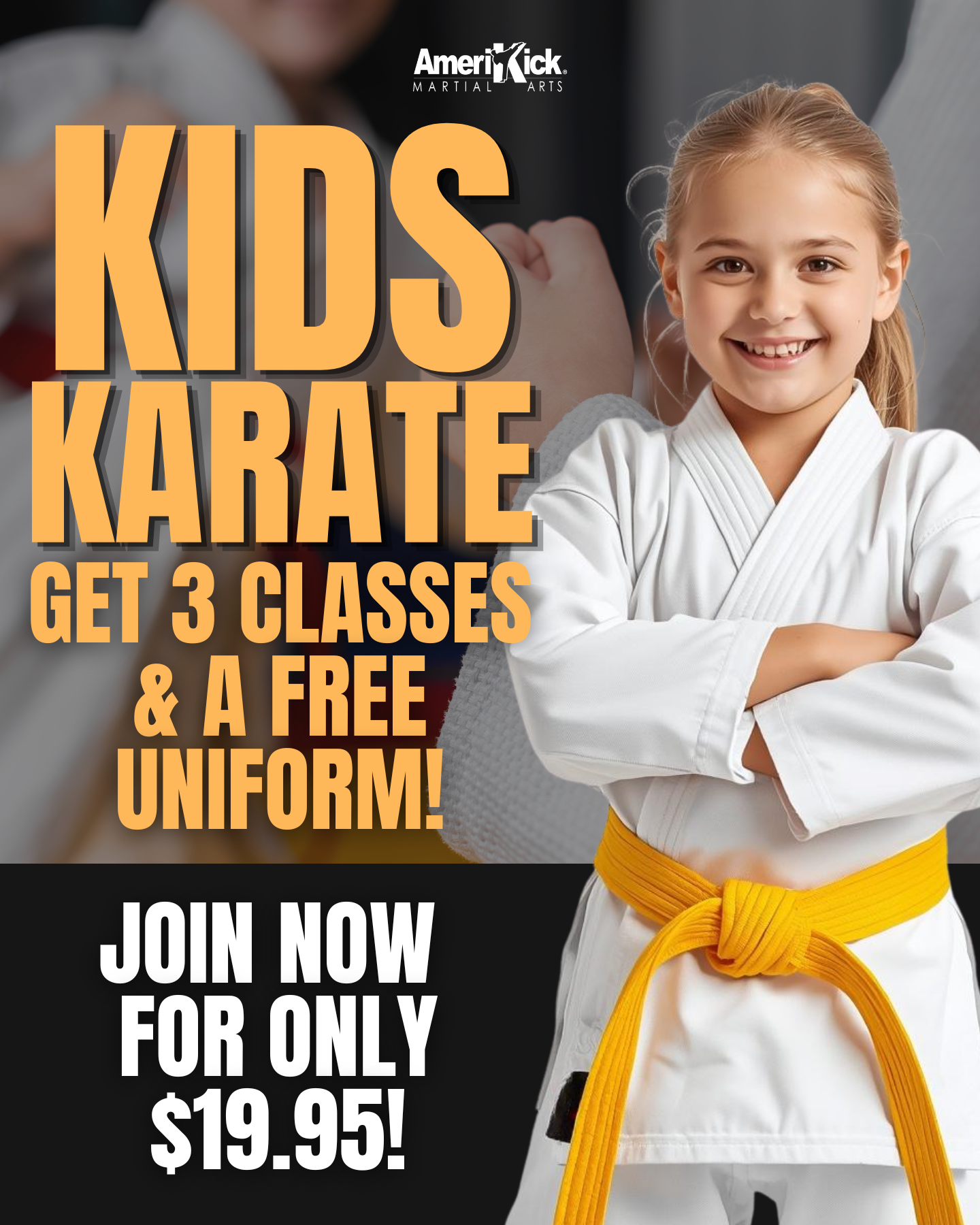 Amerikick Martial Arts Facebook ad