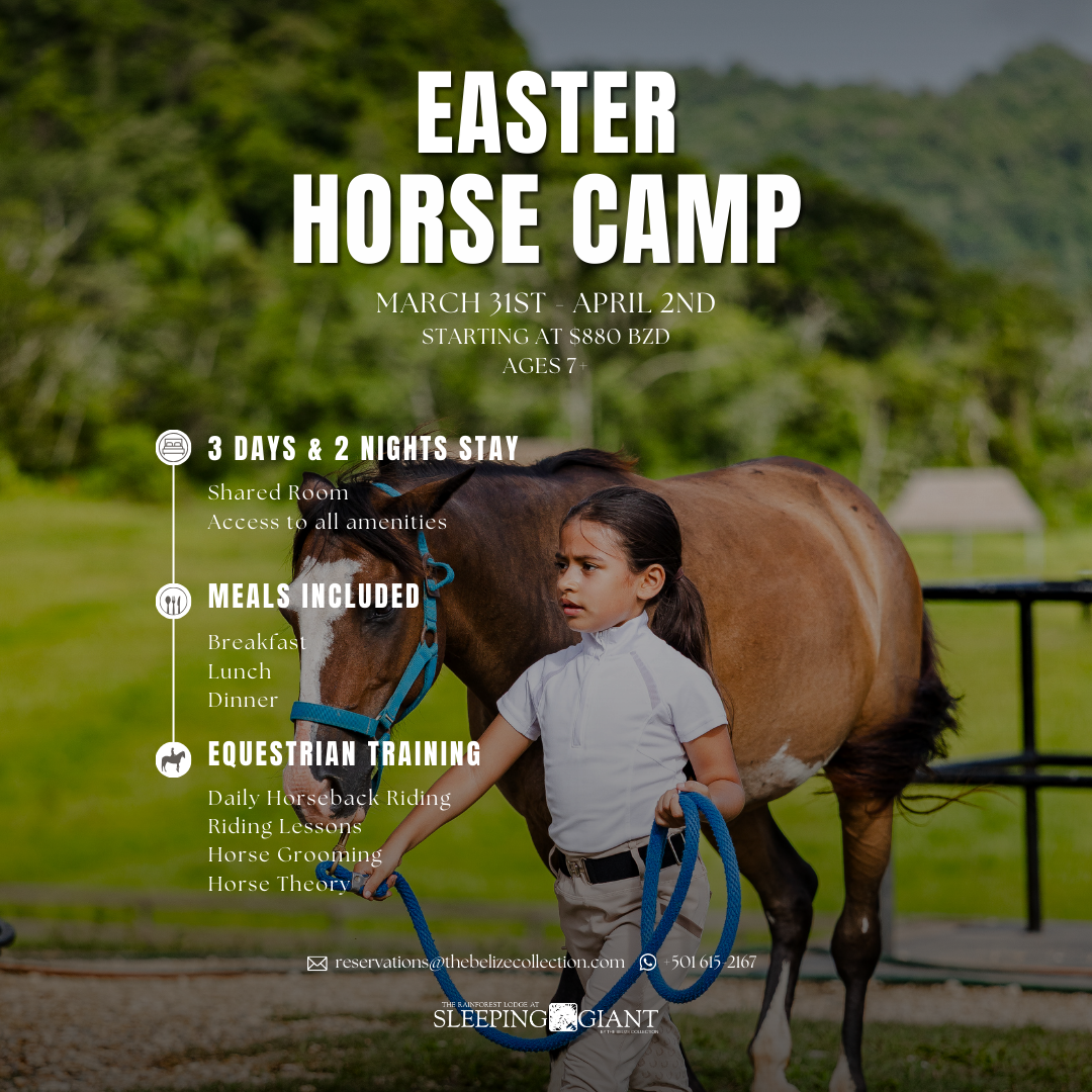 The Rainforest Lodge at Sleeping Giant Facebook ad from Feb 18, 2026