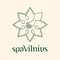 Boutique by spavilnius