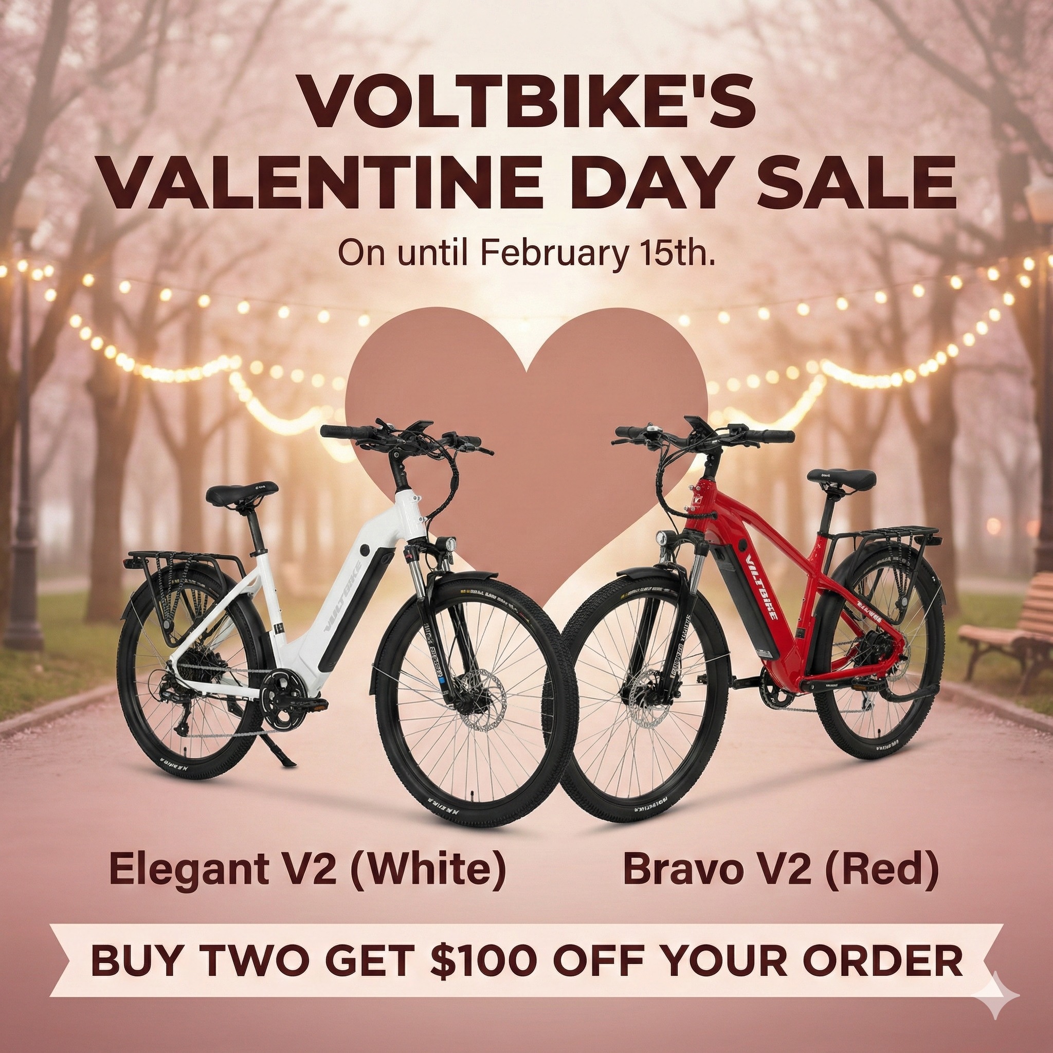 Voltbike Facebook ad: Best Electric Bikes Canada | eBike Canada For Sale