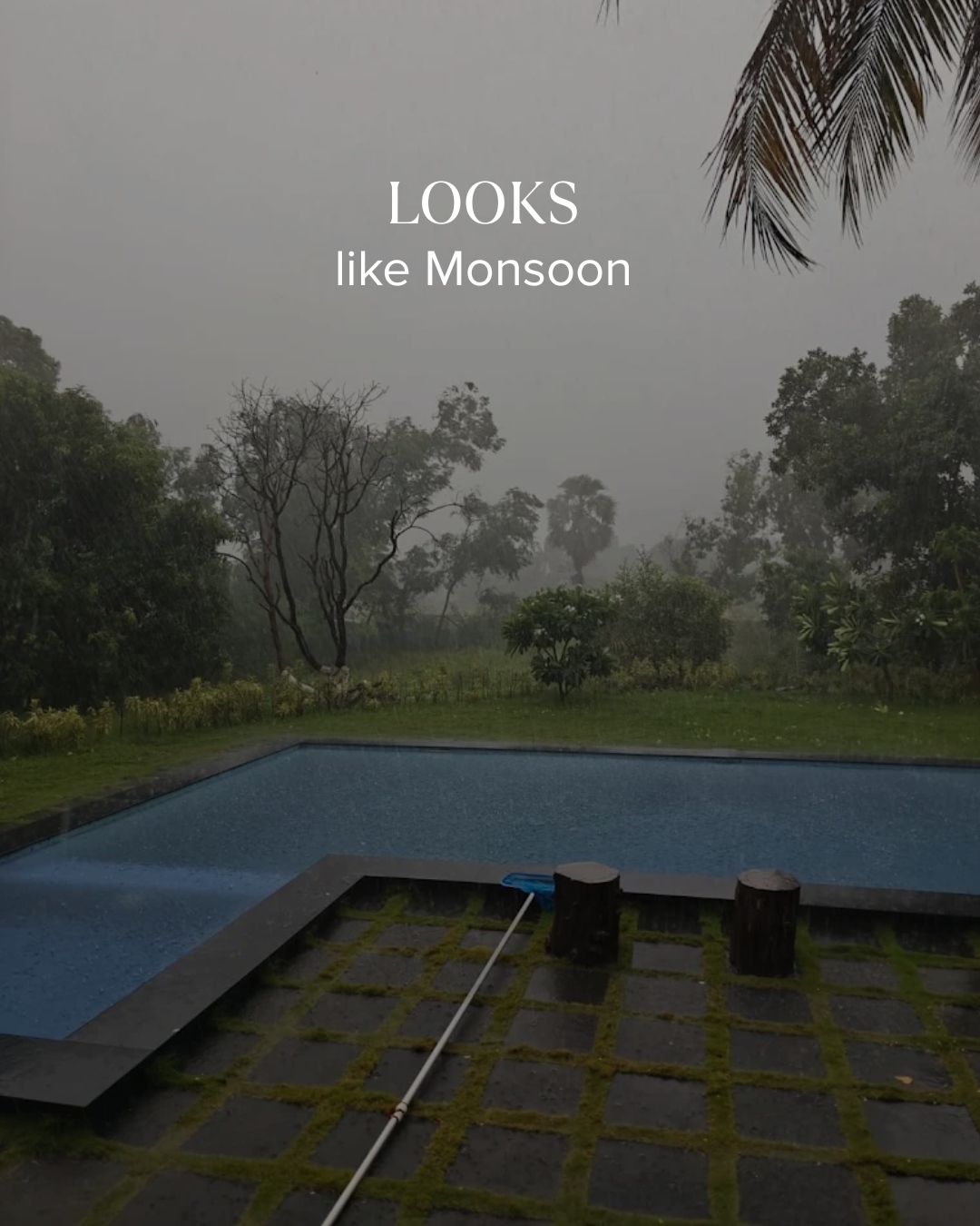 The Chlorophyll Estate Facebook ad: Monsoon was made for places like this.