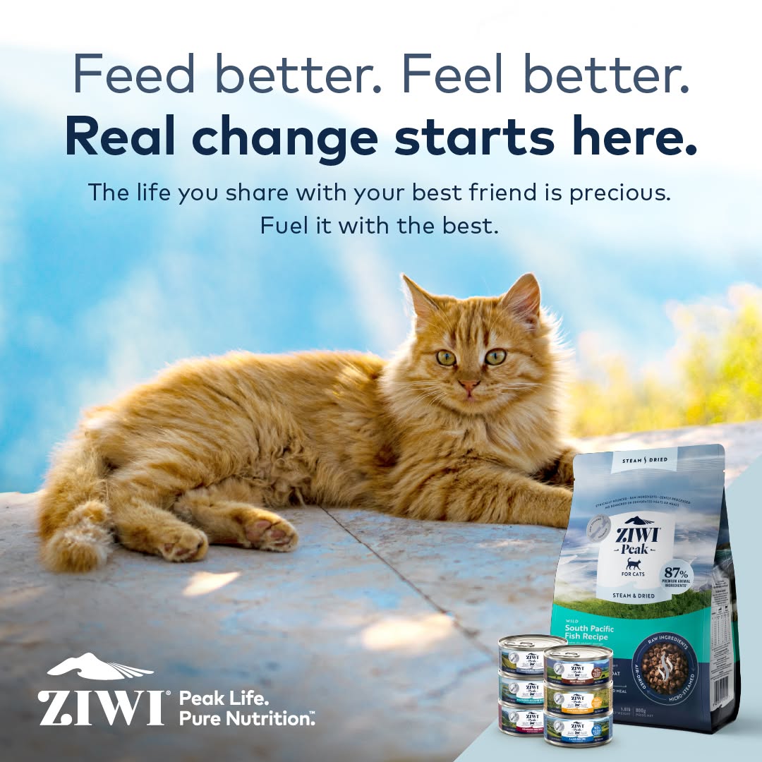 Chewy Facebook ad