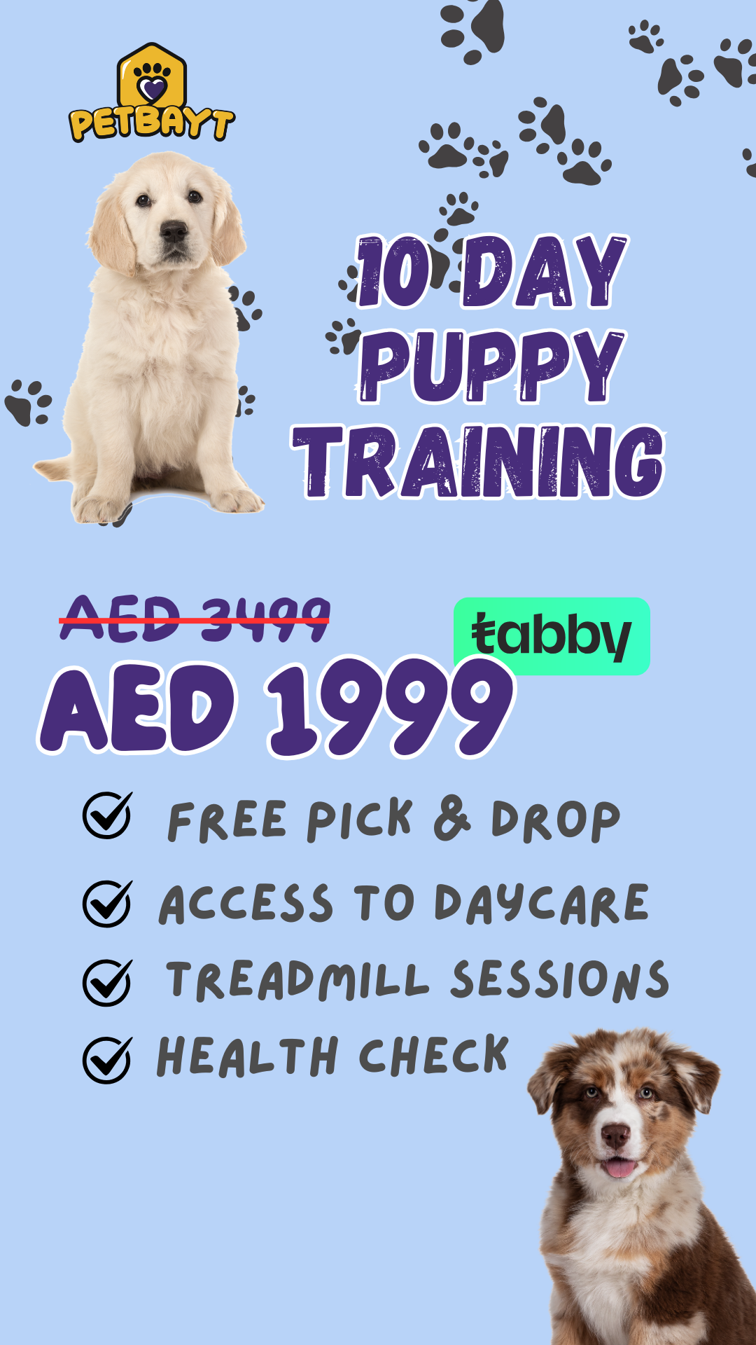 Petbayt Facebook ad: Tabby is Available