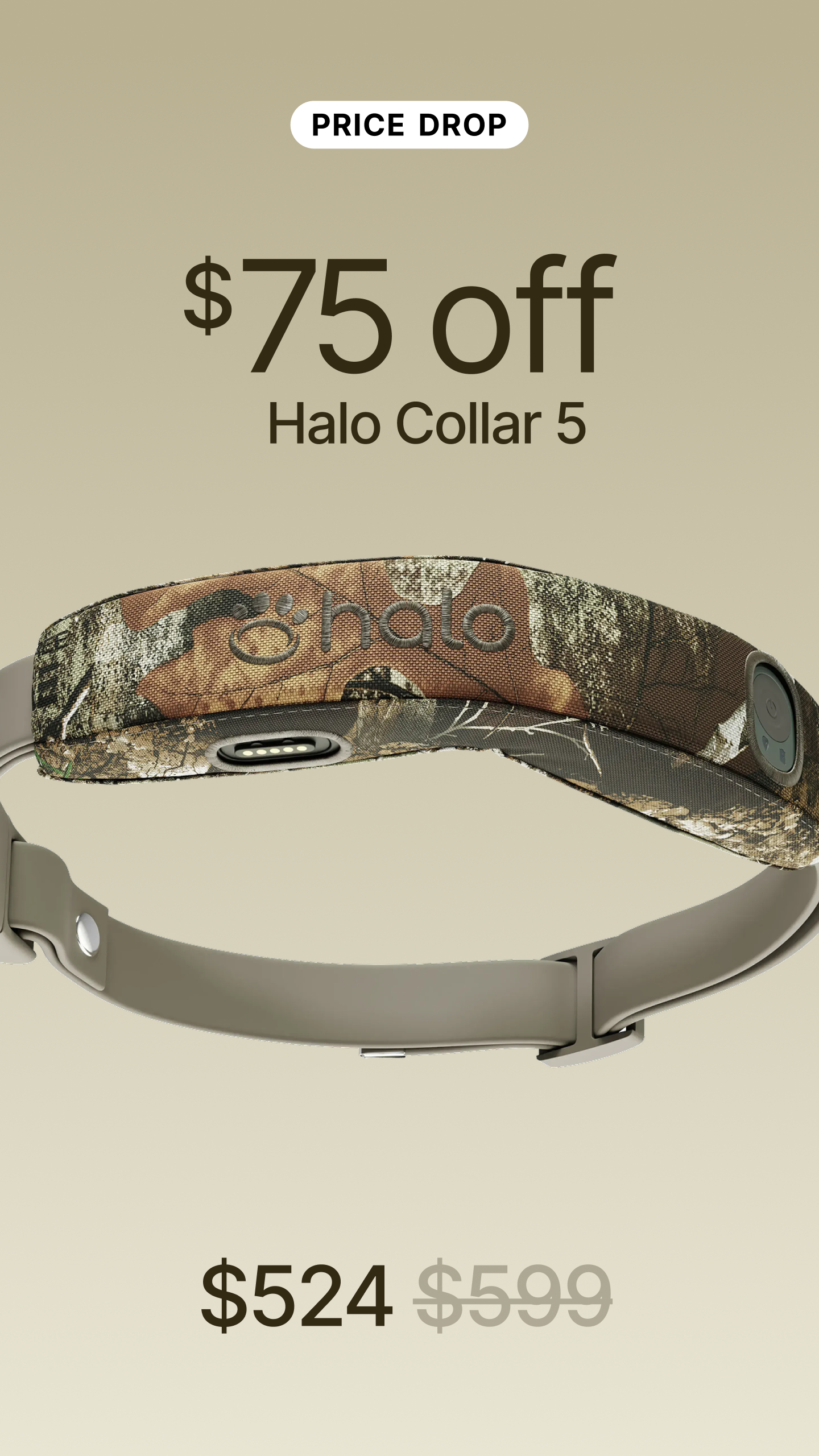 Halo Collar Facebook ad