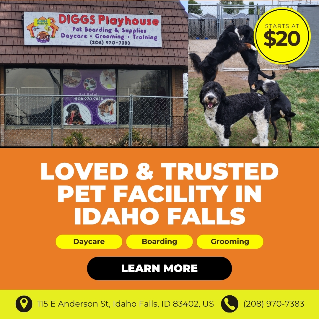 Diggs Playhouse Facebook ad: Go‑To Pet Spot in Idaho Falls, Starts at $20