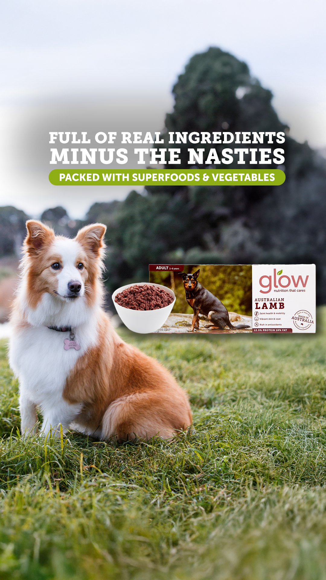 Glow Pet Food Facebook ad from Aug 14, 2026