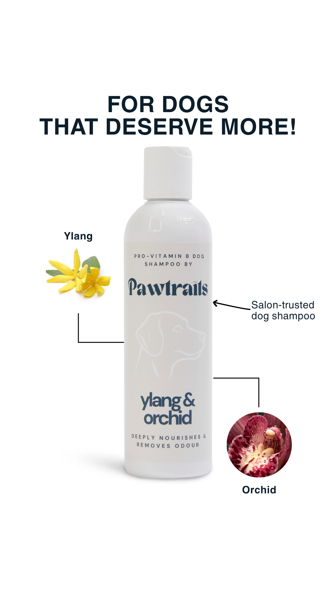 Pawtrait Dog Salon Facebook ad