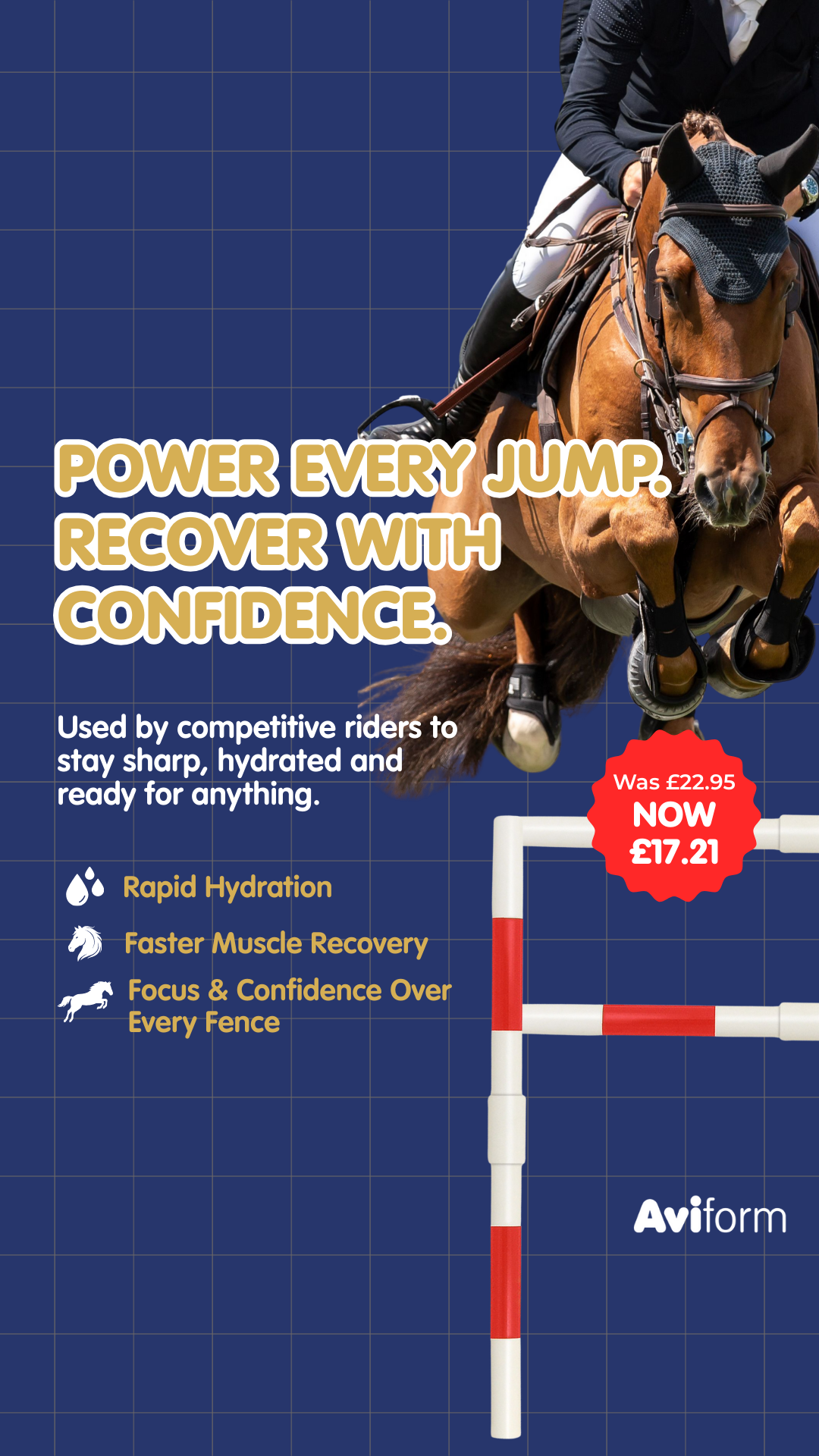 Aviform Nutrition UK - Horse & Dog Facebook ad