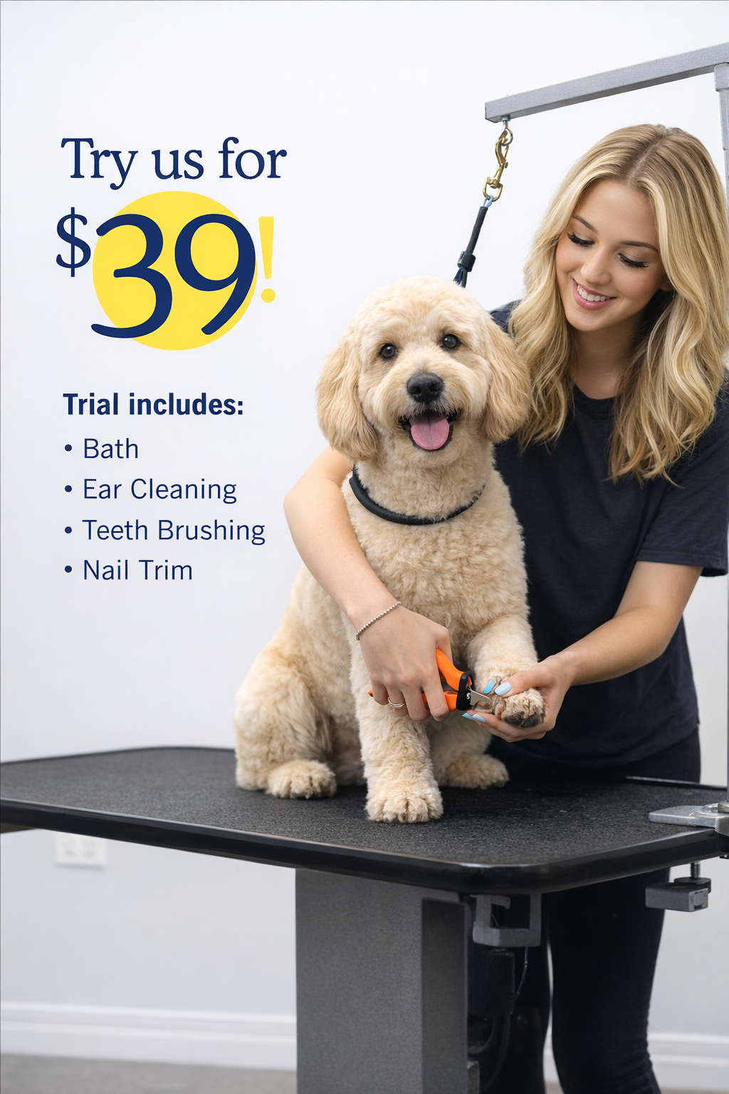 Scenthound Facebook ad: Life gets busy, but your dog's health shouldn't…
