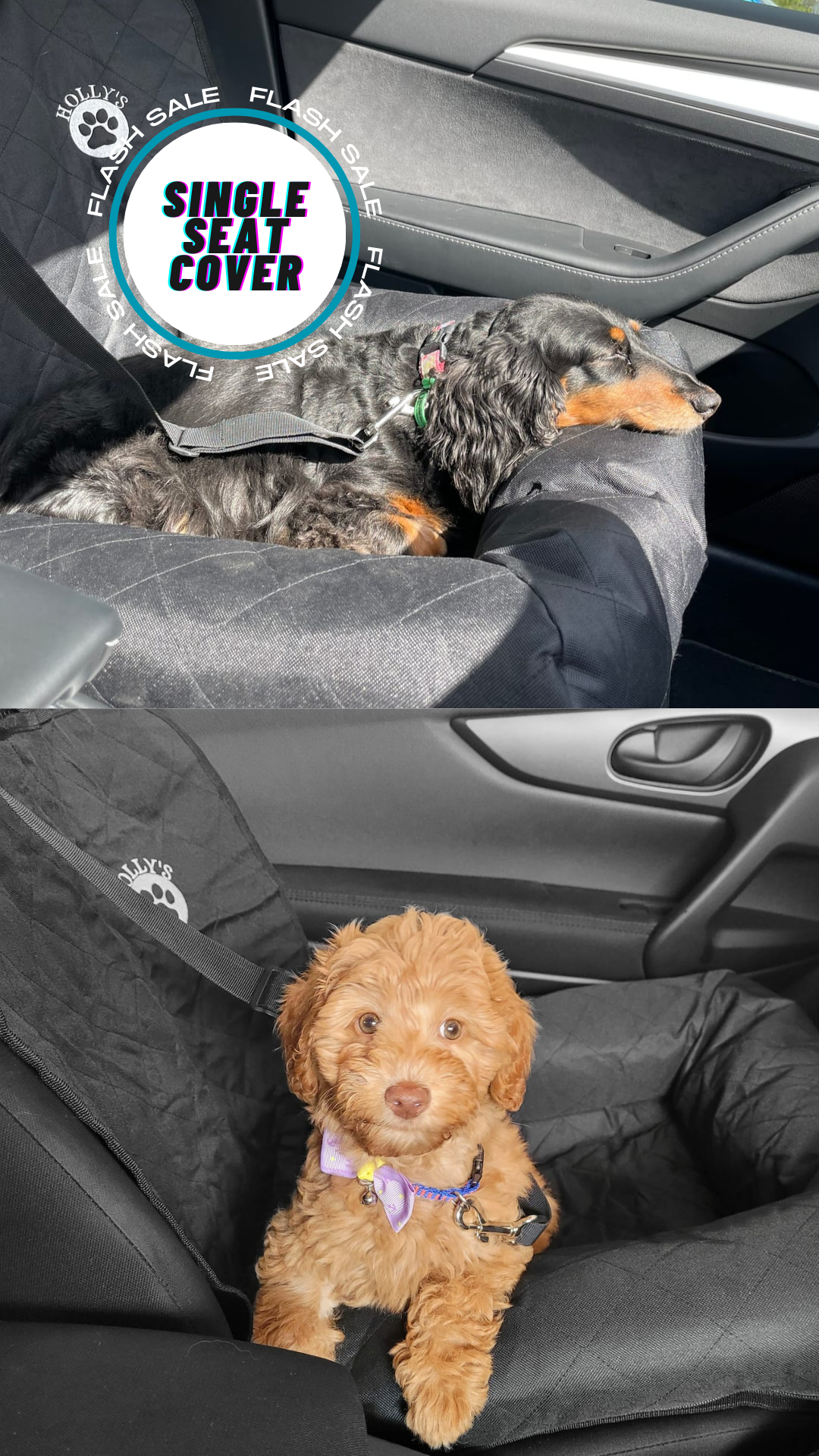 Hollys Paws Facebook ad