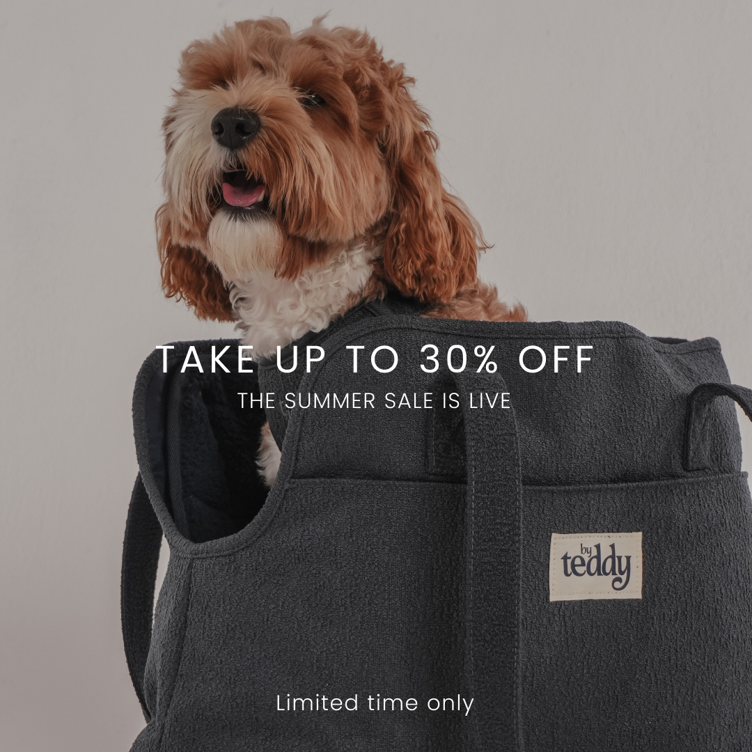 By Teddy Facebook ad