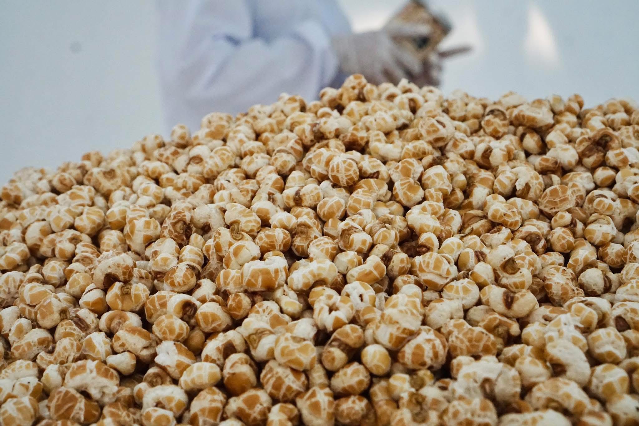 Bản Phượng Hồng - Vietnam Napro Facebook ad: Siêu hạt Granola đặc biệt cho team Khoẻ…