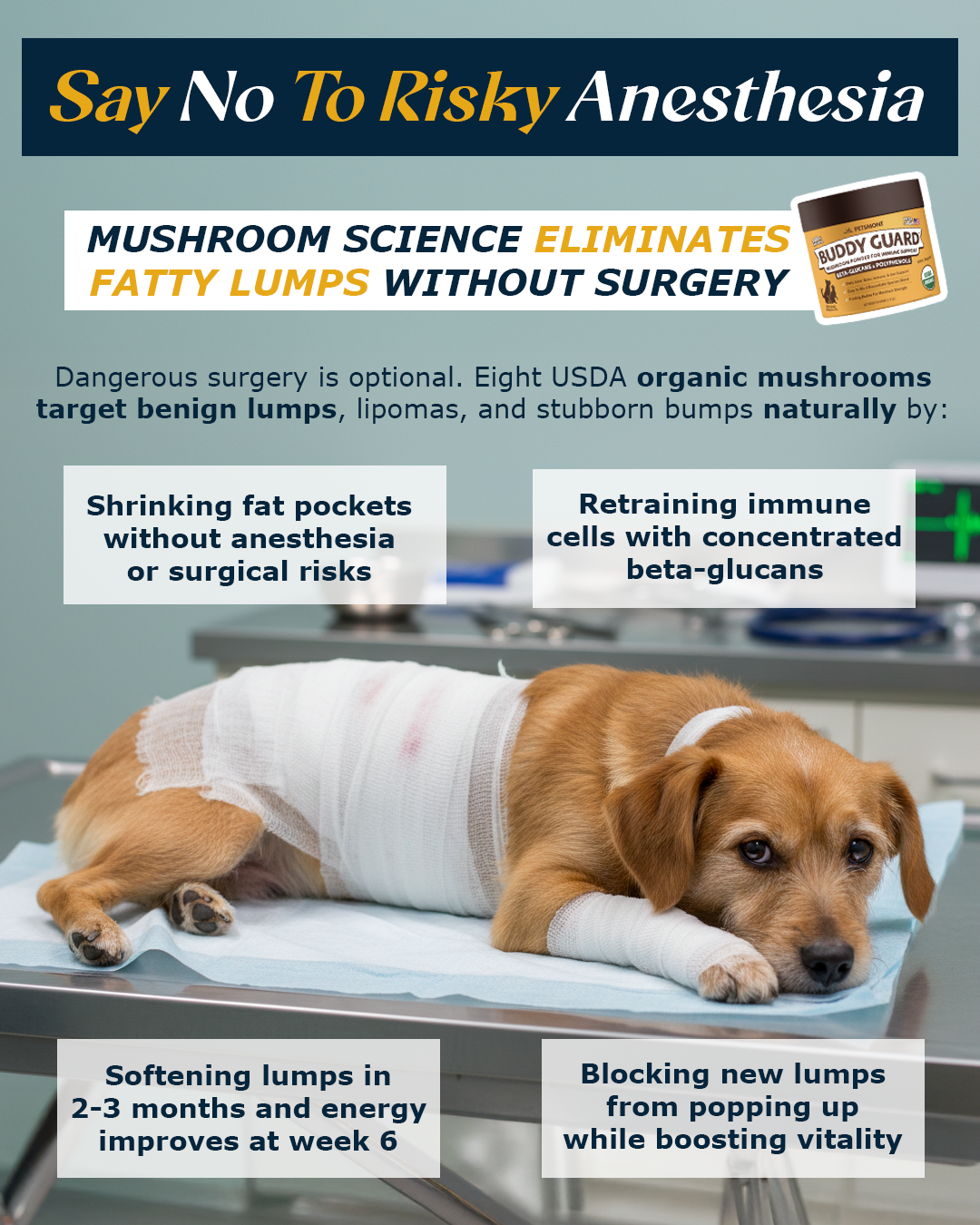 Petsmont Facebook ad