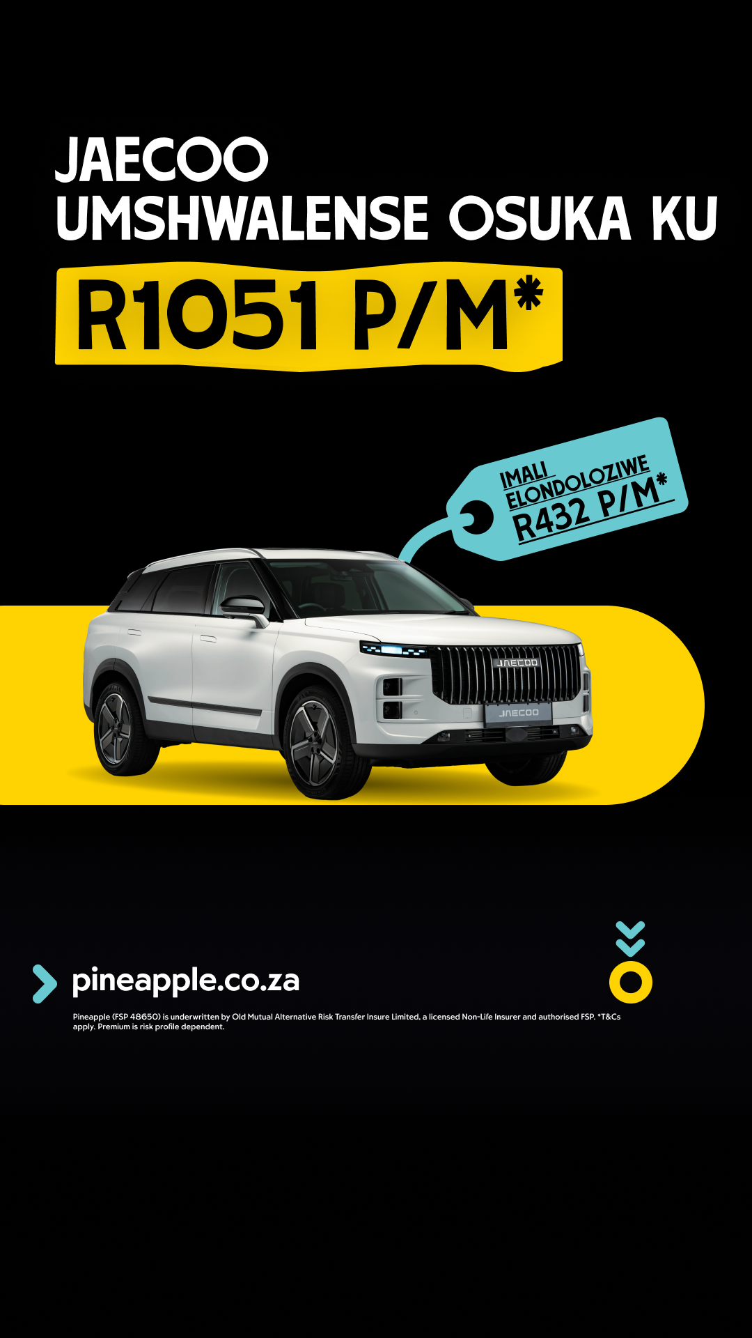 Pineapple Facebook ad