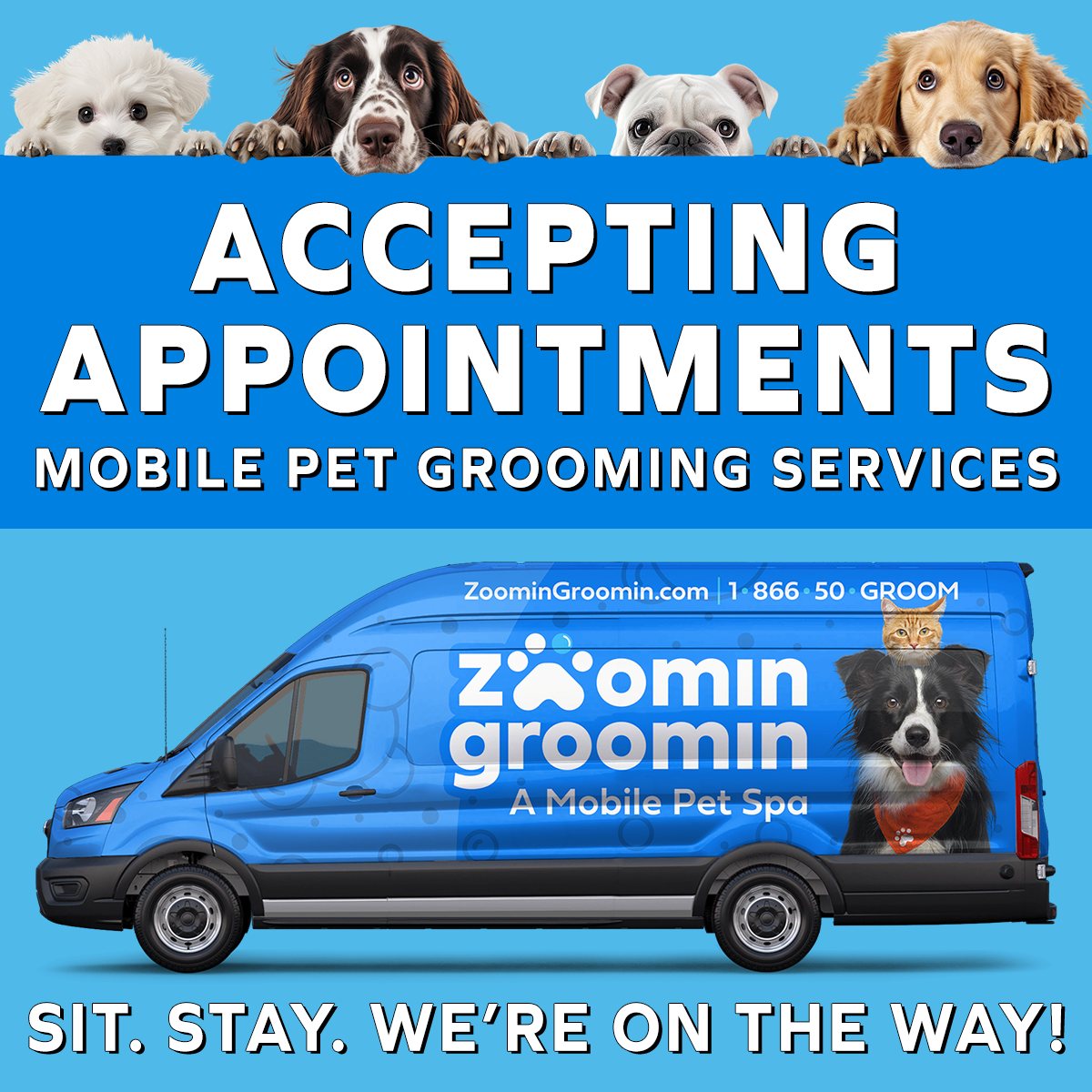 Zoomin Groomin - Sioux Falls, SD Facebook ad: Ready to pamper your furry friends?