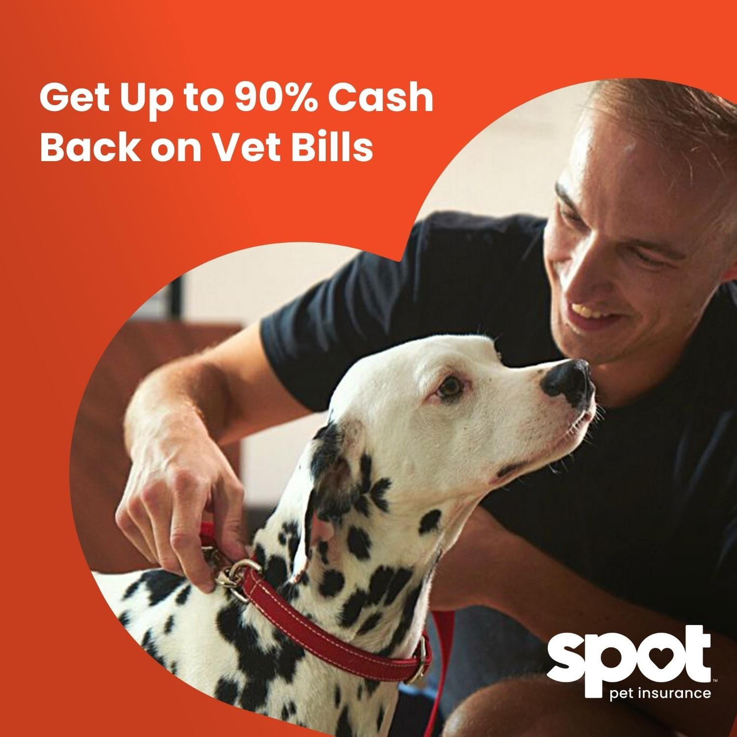 Spot Pet Insurance Facebook ad