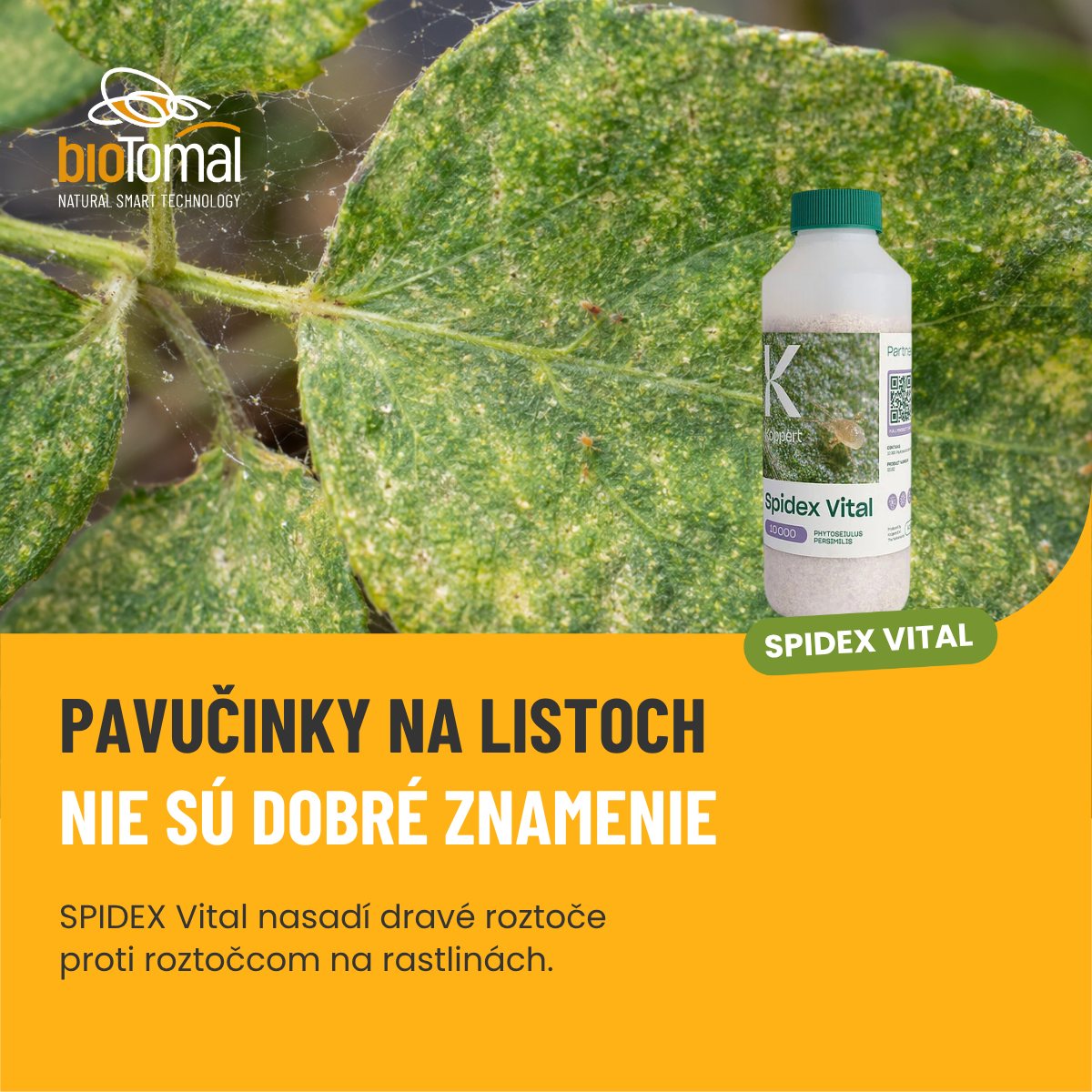 BioTomal SK Facebook ad: Vyblednuté listy a drobné pavučinky?