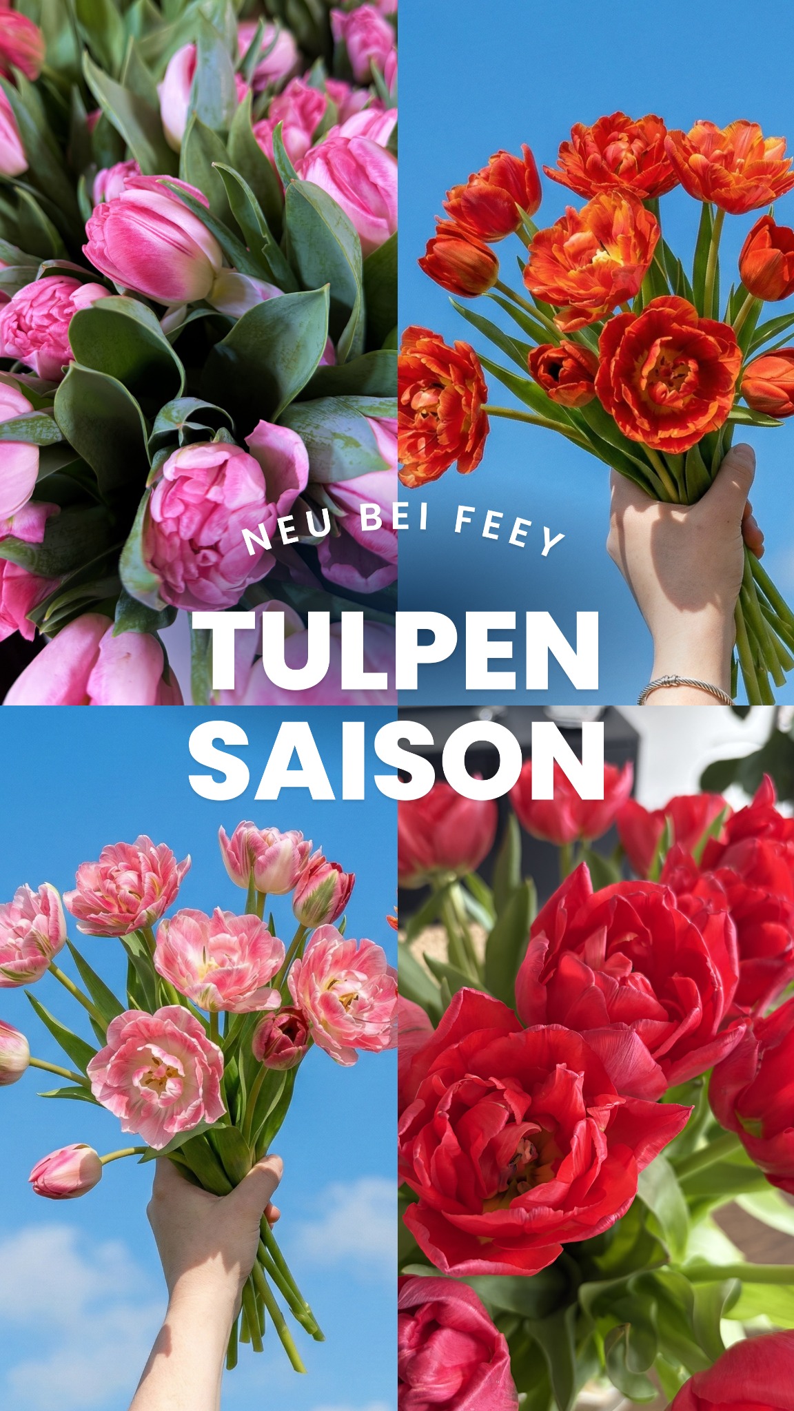 feey.pflanzen Facebook ad