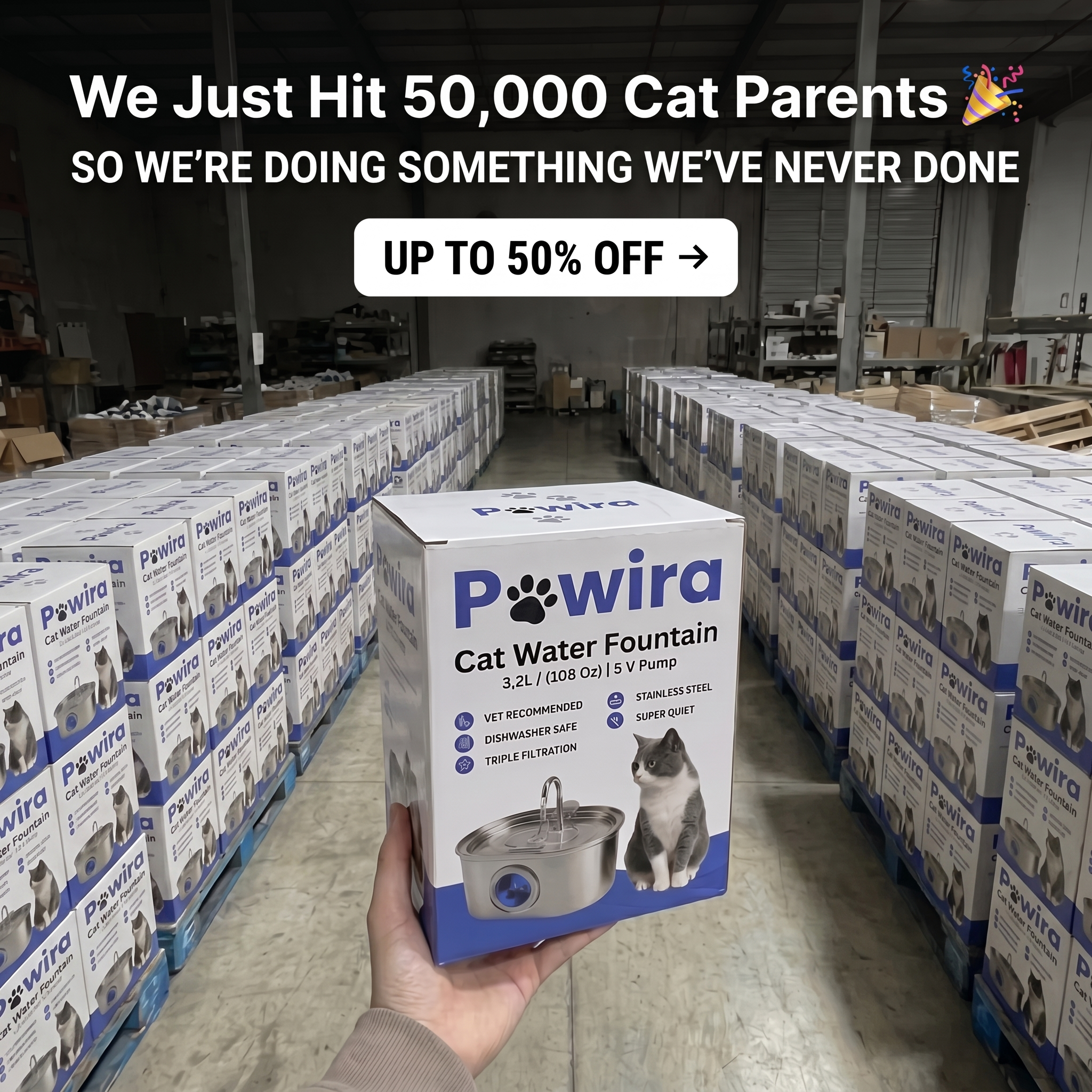 Pawira Facebook ad