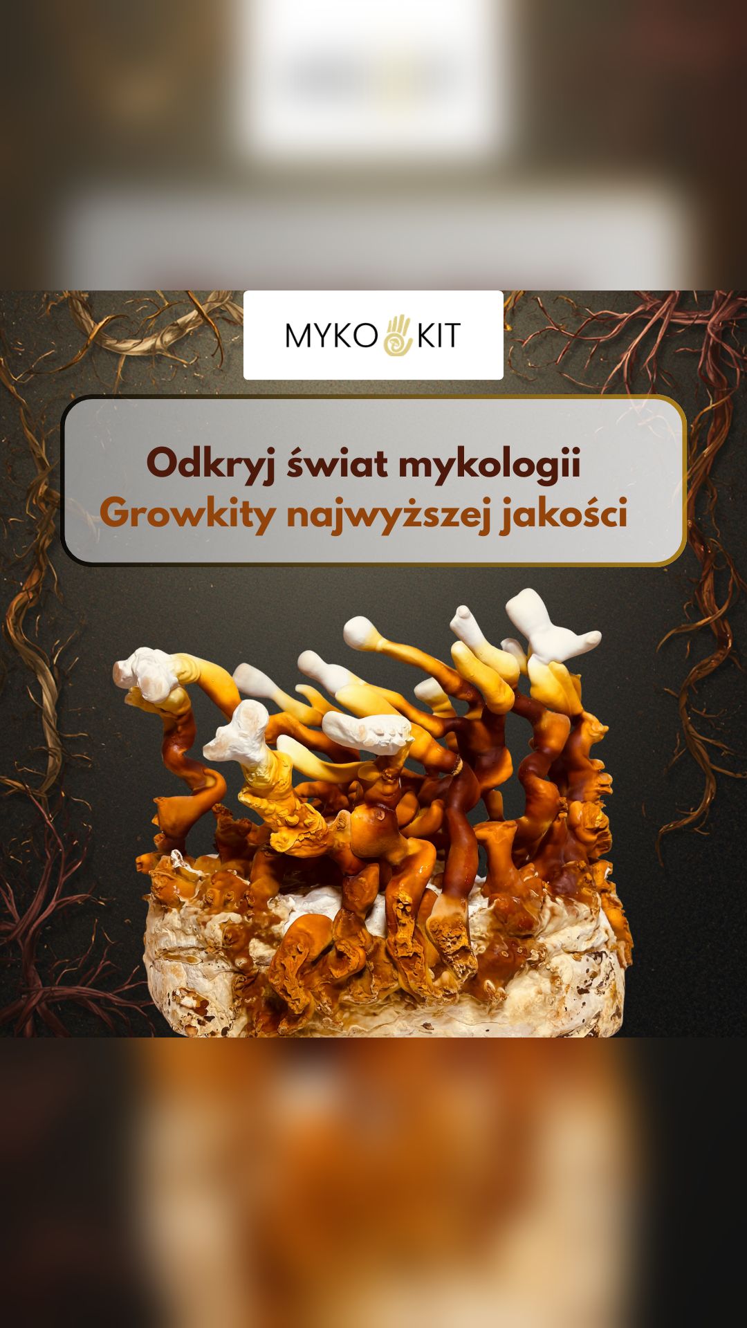 MykoKit.com Facebook ad from May 15, 2026