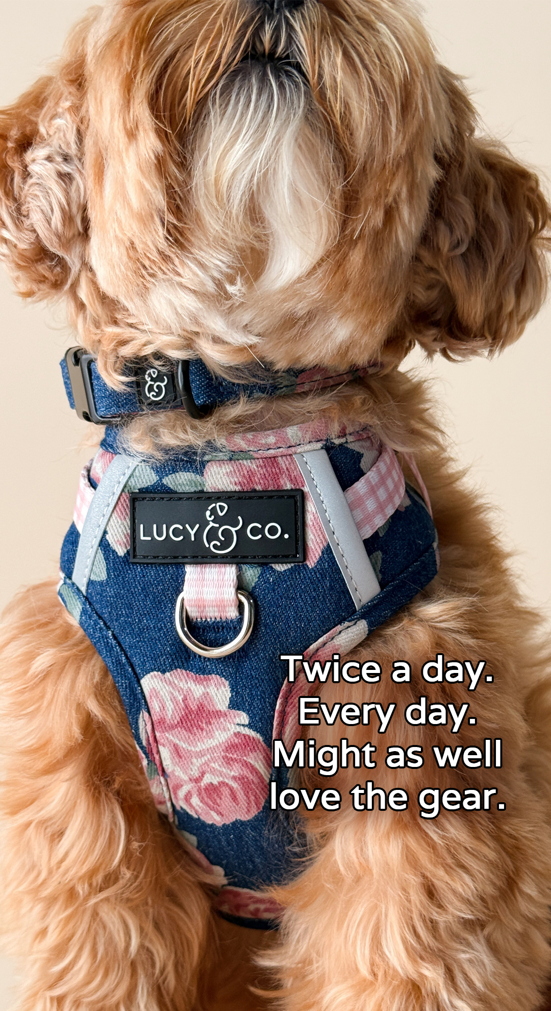 Lucy & Co. Facebook ad