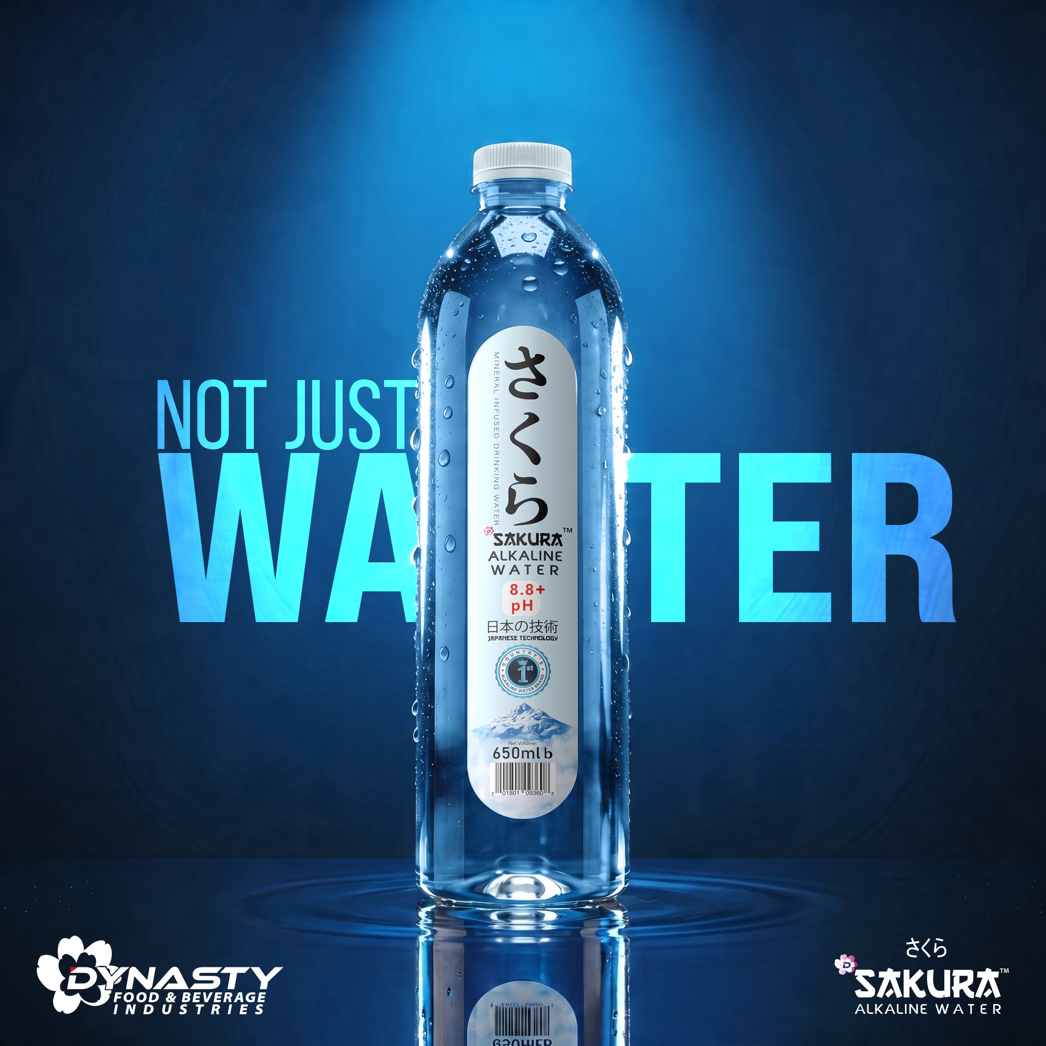 Dynasty Food & Beverage Industries Facebook ad