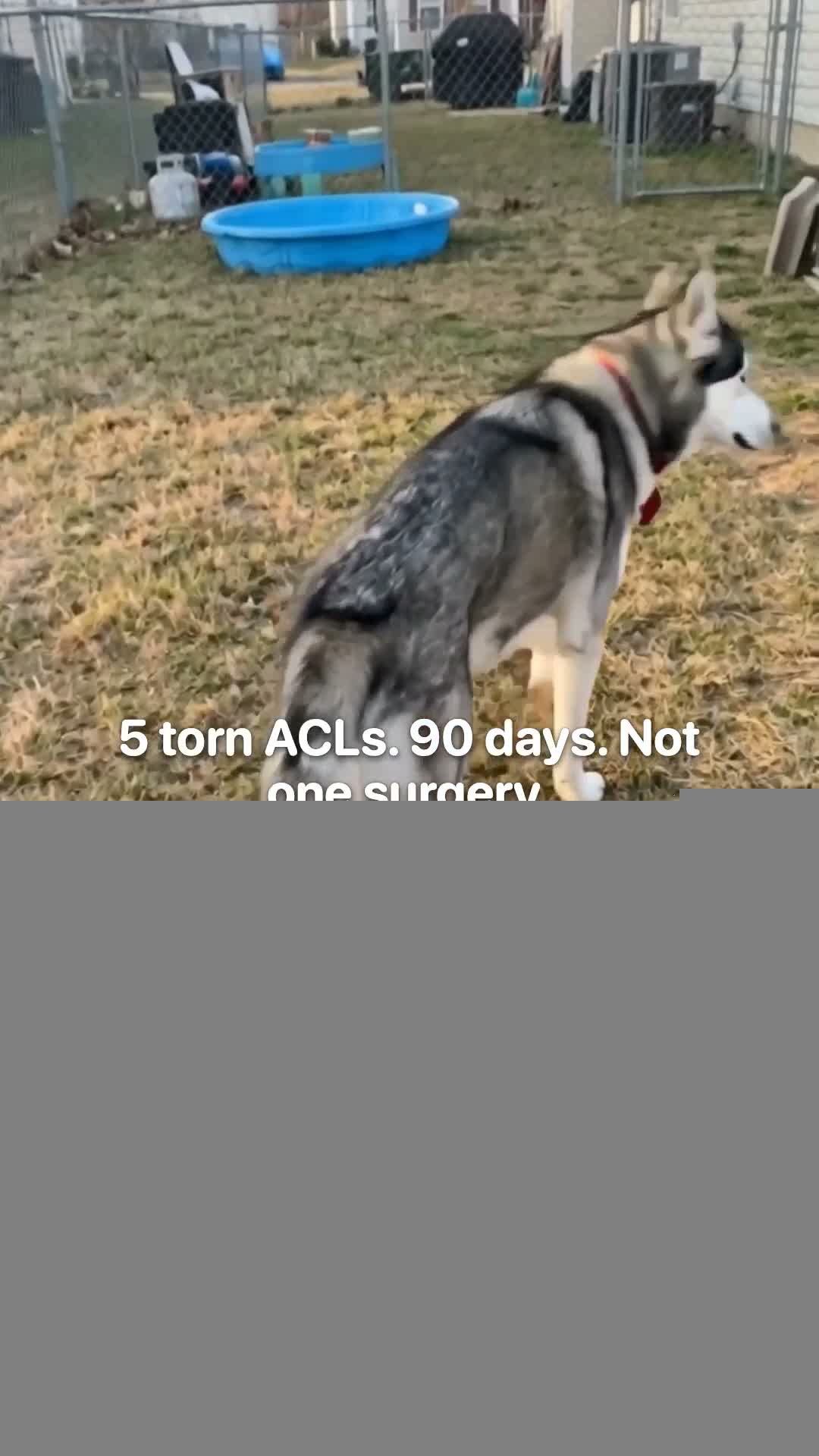 Vet-Recommended Pet Products Facebook ad: 5 Torn CCLs. 90 Days. Not One Surgery.