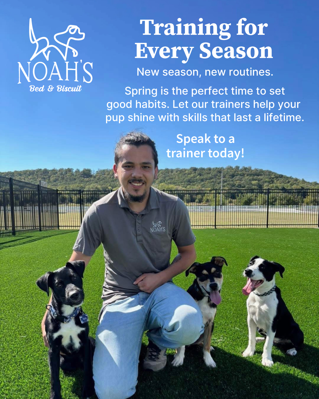 Noah's Bed and Biscuit - Tulsa's Finest Luxury Pet Resort Facebook ad from May 19, 2026
