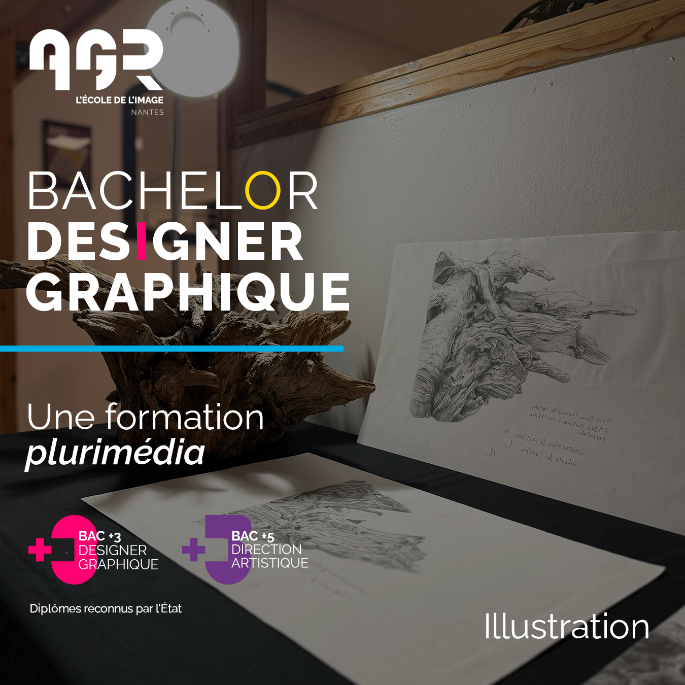 AGR l'école de l'image Facebook ad: Une formation pluridisciplinaire pour accéder aux métiers…