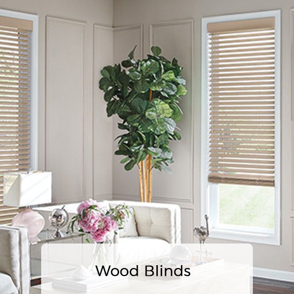 Budget Blinds of Scottsdale Facebook ad: Brains and beauty?