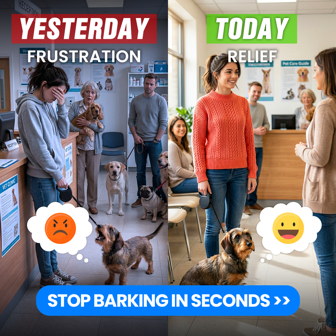 Mike James Dog Training Facebook ad