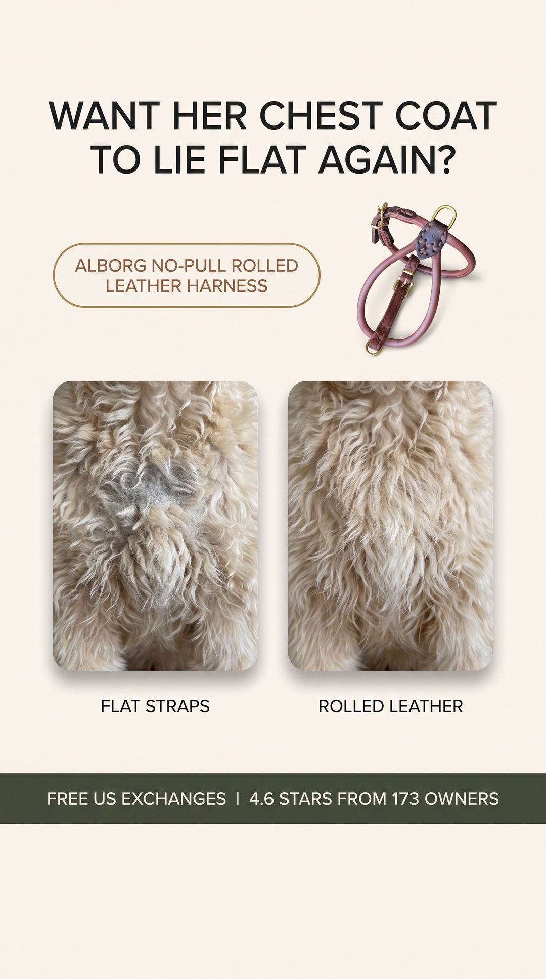HUND Denmark Facebook ad: The mats aren't her coat's fault.