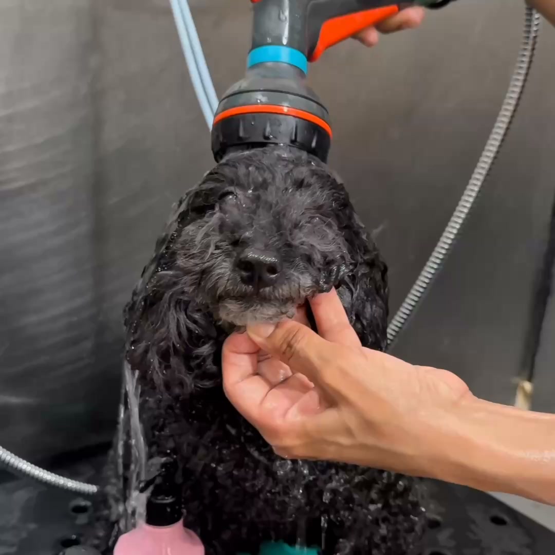 Artero Pet Care - UK Facebook ad: Artero Plis Plas