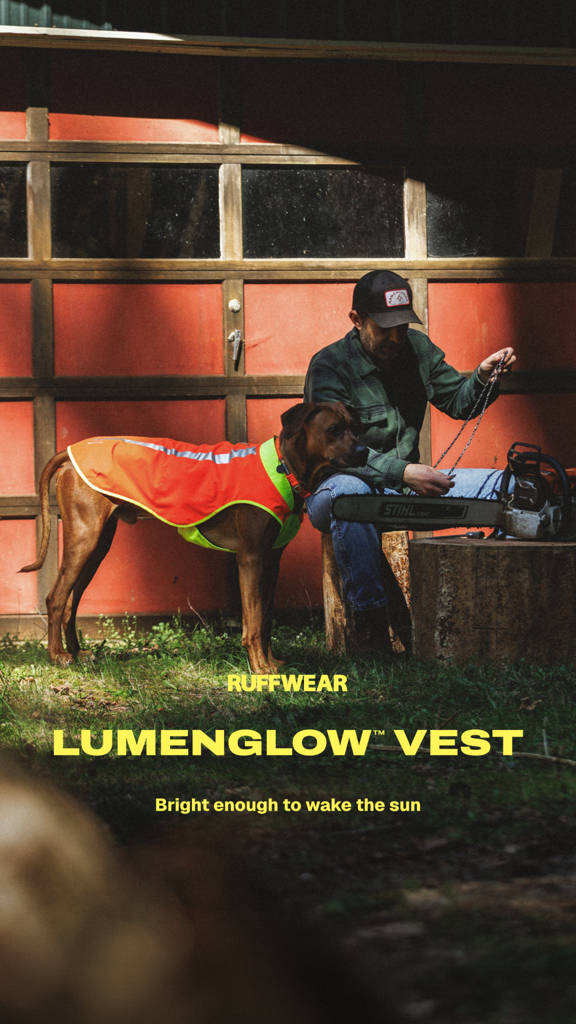 Ruffwear Facebook ad