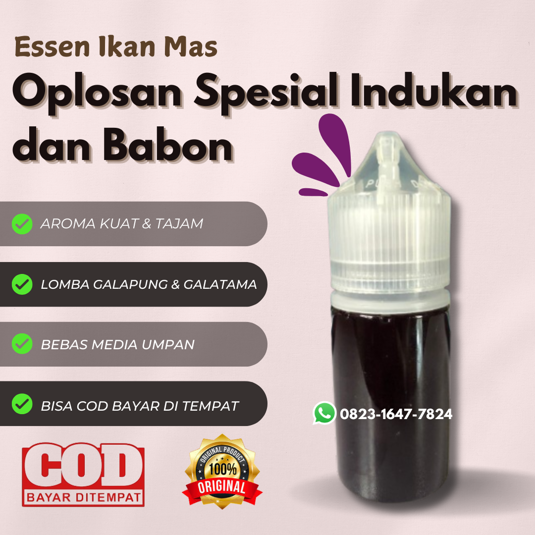 RUMAH ESSEN Facebook ad: Essen Ikan Mas Babon & Indukan