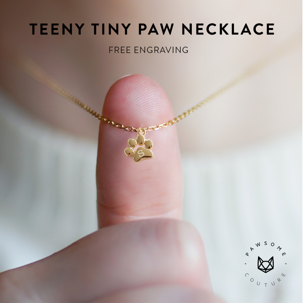 Pawsome Couture Facebook ad