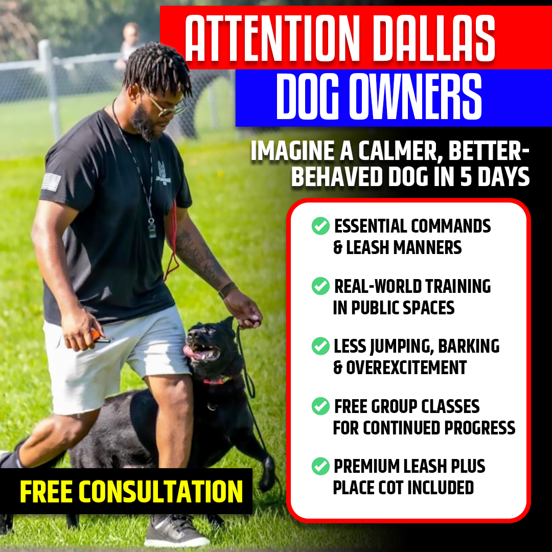 Dog Tags Training Academy Facebook ad: 5 days from out of control to under control