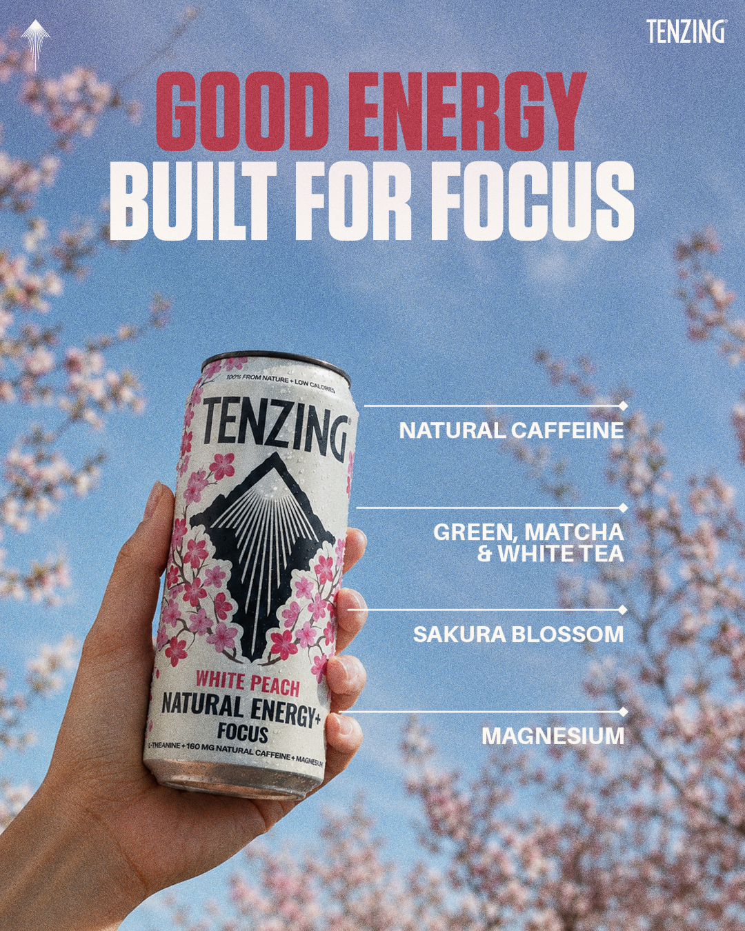 TENZING Natural Energy Facebook ad