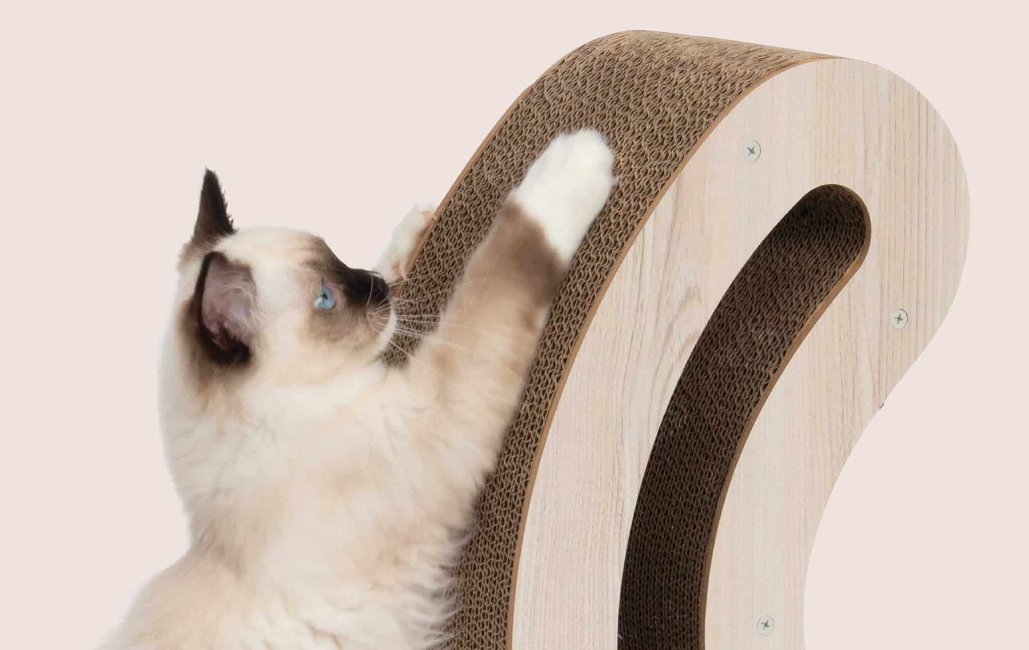 Catit Canada Facebook ad