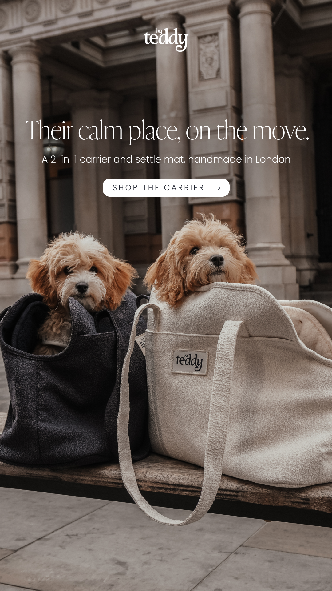 By Teddy Facebook ad