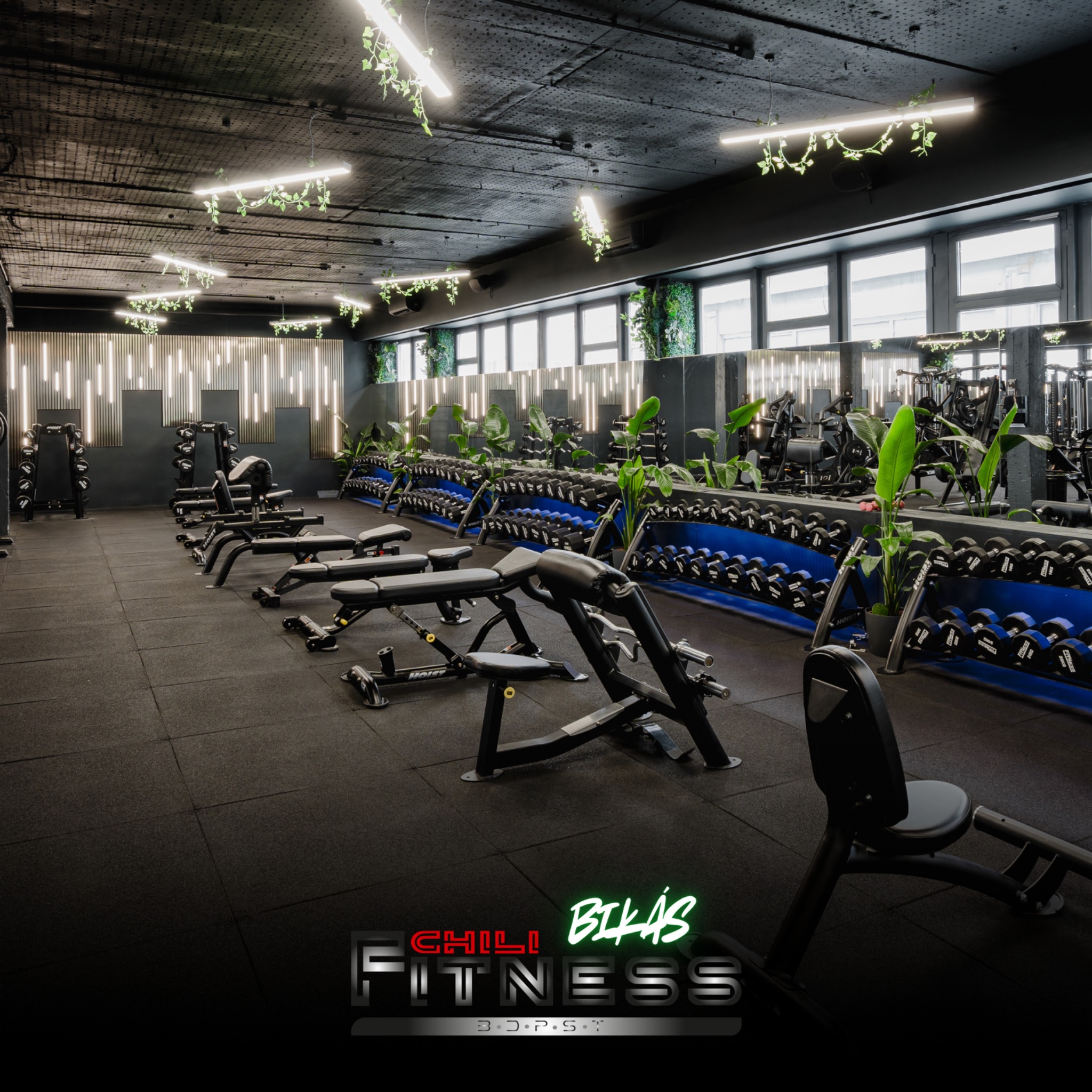 Chili Fitness - Bikás park Facebook ad: A Chili Fitness Bikás nemcsak egy edzőterem, ez…