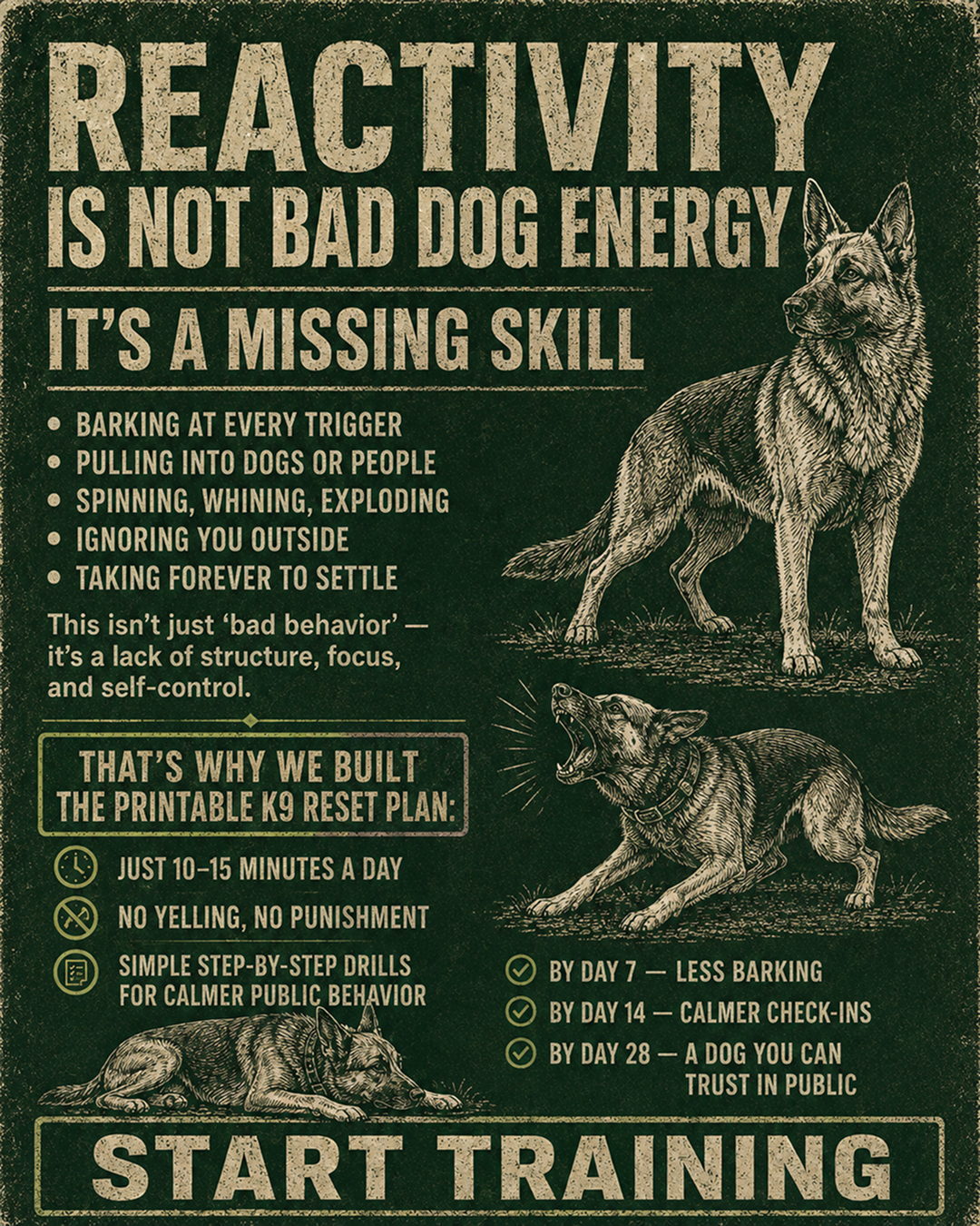1st Dog Training Club Facebook ad