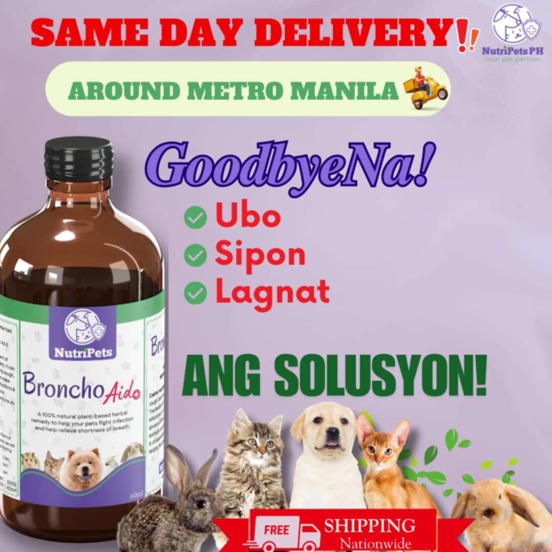 π΅πππππ·πππ π·π Facebook ad: PETS NEED PROTECTION TOO!