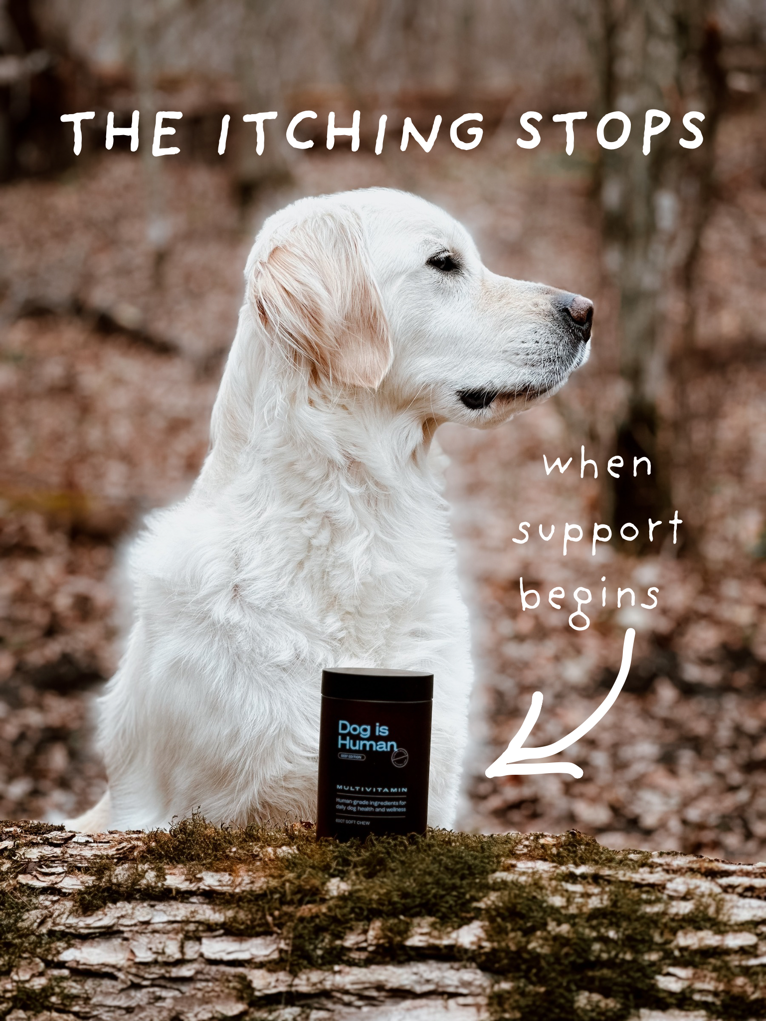 Dog is Human Facebook ad