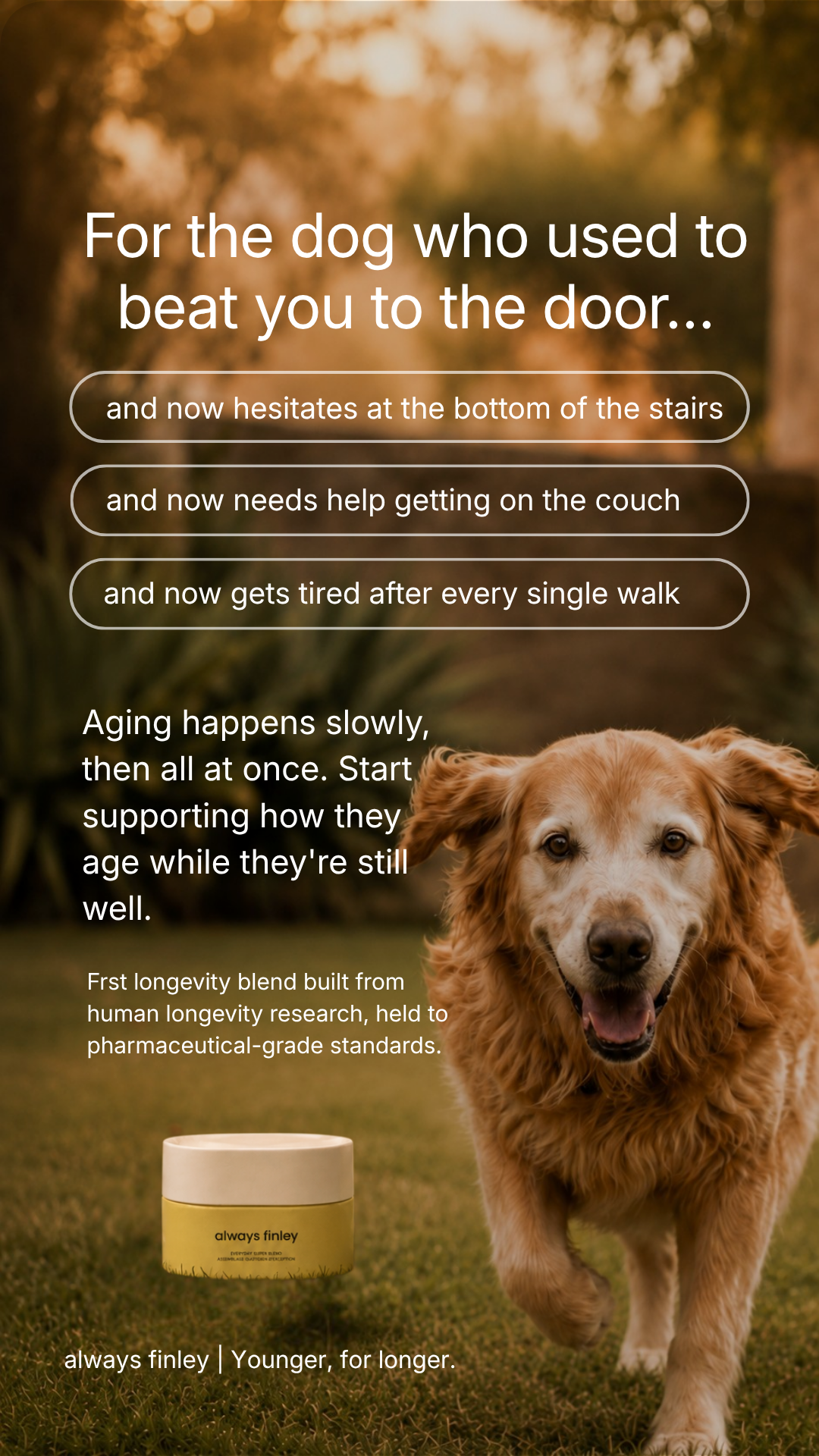 Finley Facebook ad: Start before you can see it.