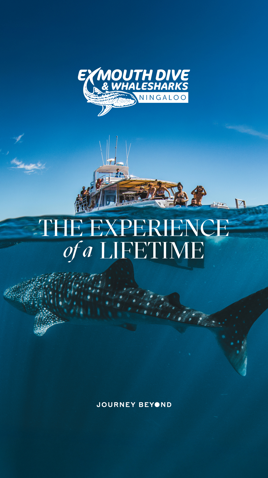 Exmouth Dive & Whalesharks Ningaloo Facebook ad from Feb 3, 2026