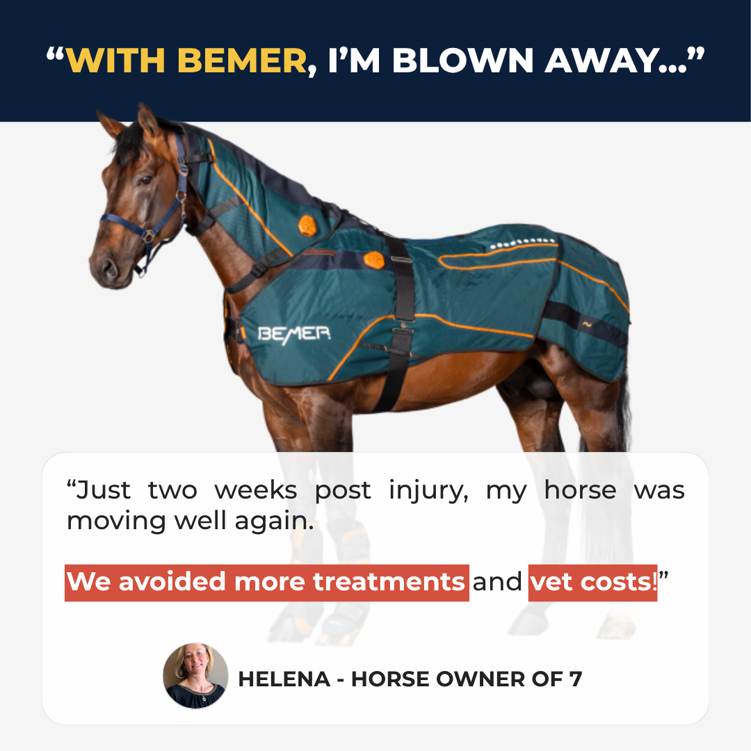Boost Horse Circulation Facebook ad
