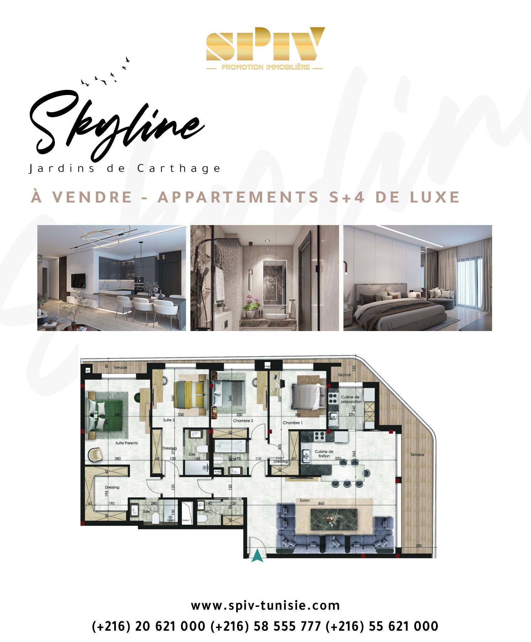 SPIV Promotion Immobilière Facebook ad: 𝑆𝑘𝑦𝑙𝑖𝑛𝑒, Jardins de Carthage