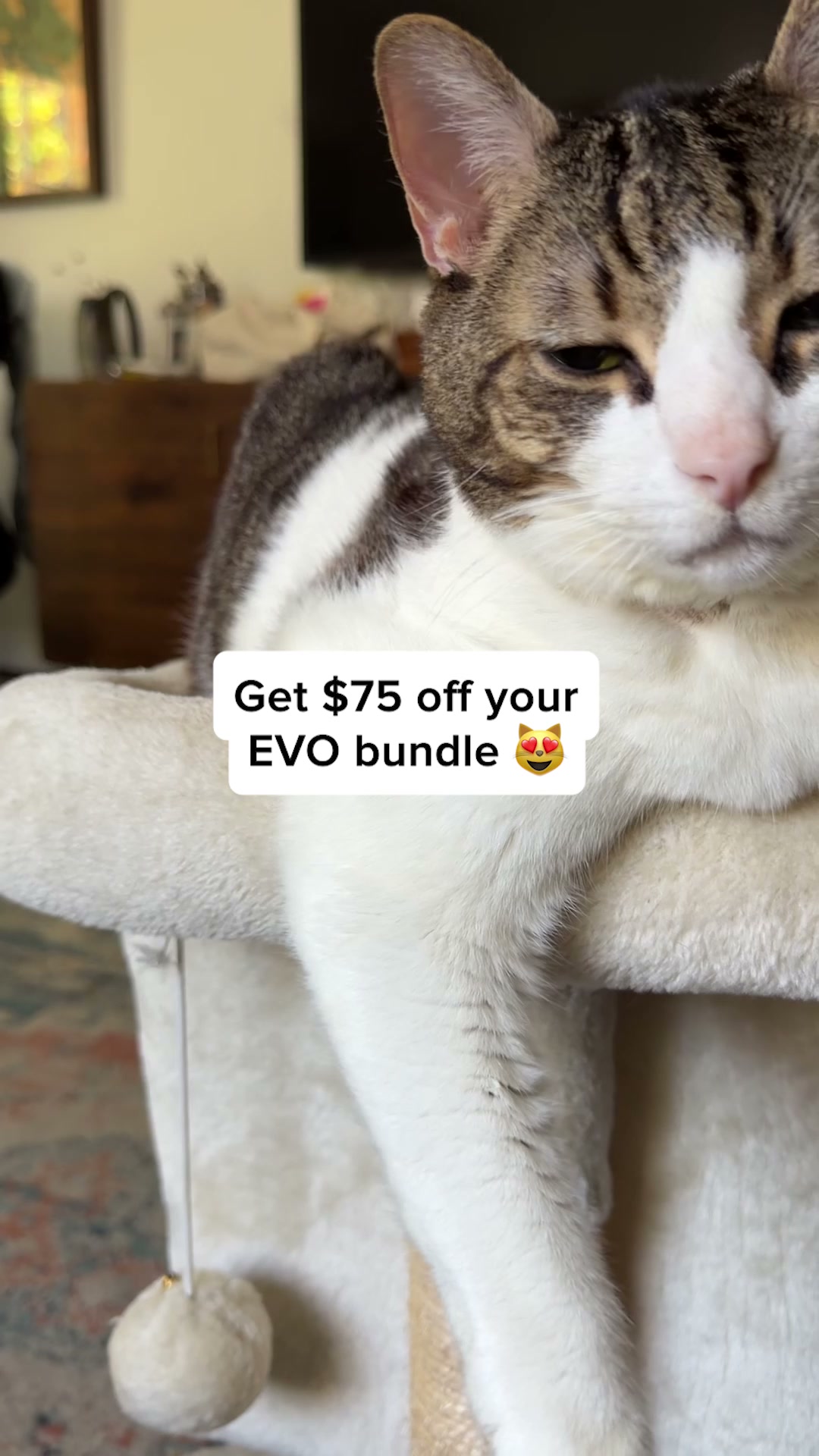 Whisker Facebook ad from Jul 13, 2026
